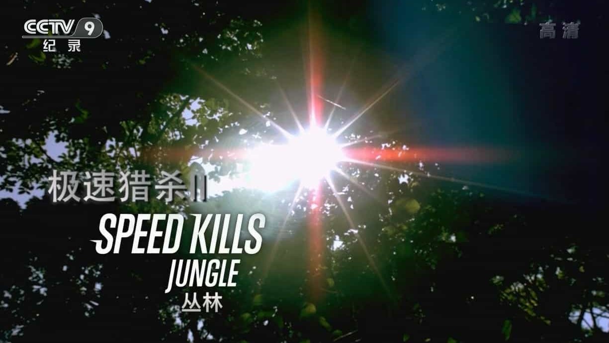 国家地理《极速猎杀/野生速杀令 Speed Kills》第1-3季 国语中字 720P高清网盘下载