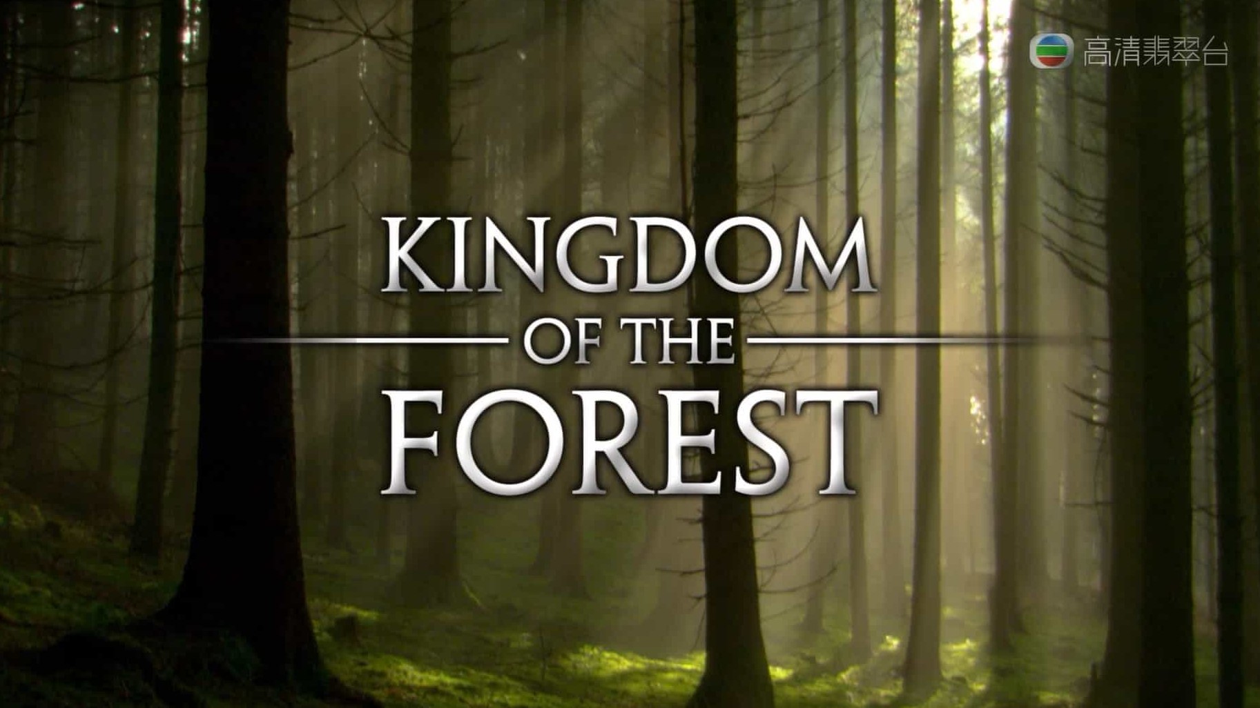 国家地理《森之秘境 Kingdom Of The Forest 2012》全1集 粤英双语中字 1080P高清网盘下载 