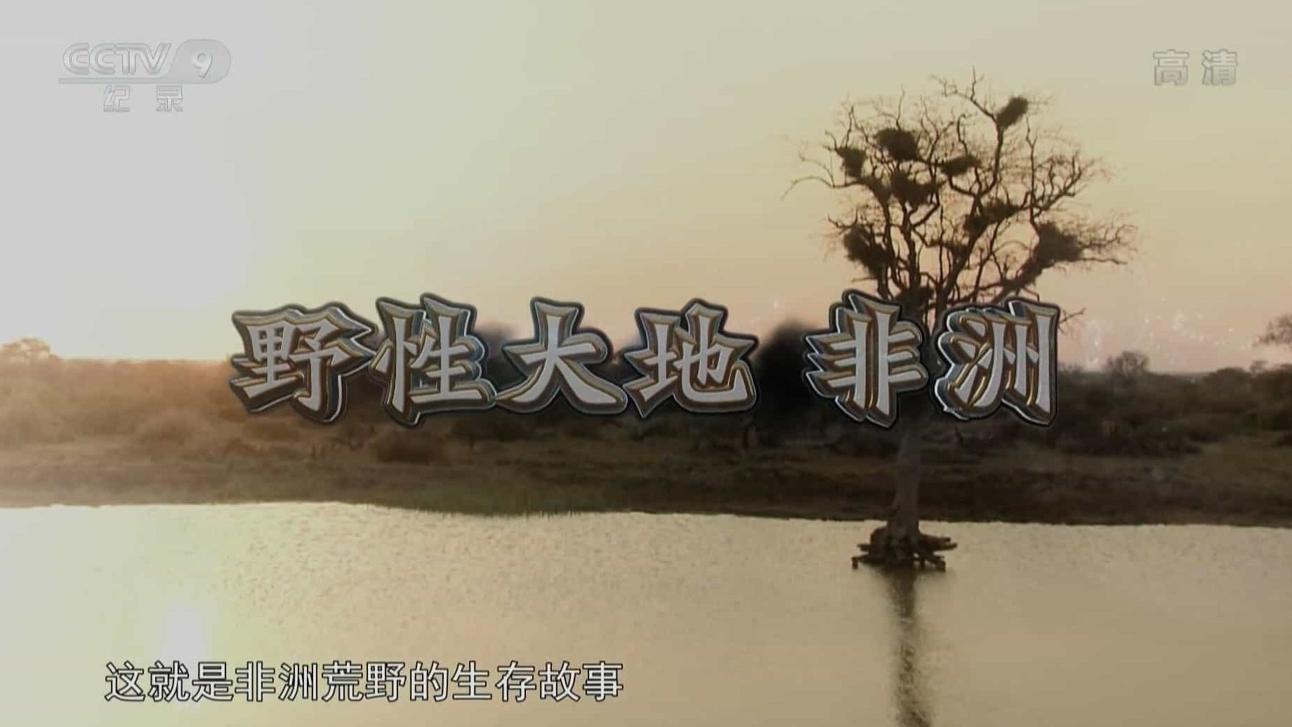 国家地理《野性大地 非洲 african wild》全8集 国语中字 1080P高清网盘下载