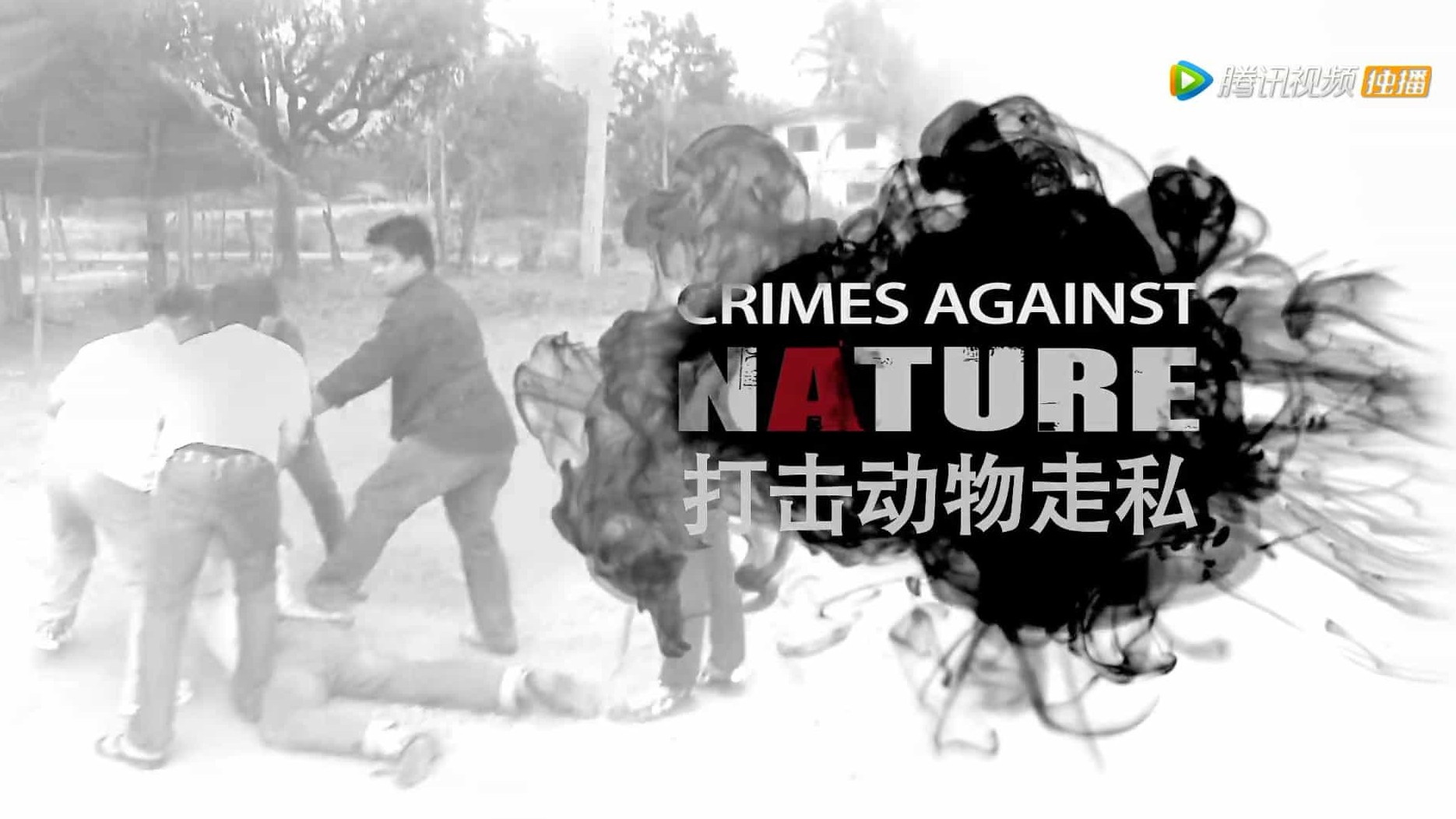 国家地理《打击动物走私犯：象牙交易 Crimes Against Nature：The Ivory Trade 2014》全1集 英语中字 720P高清网盘下载
