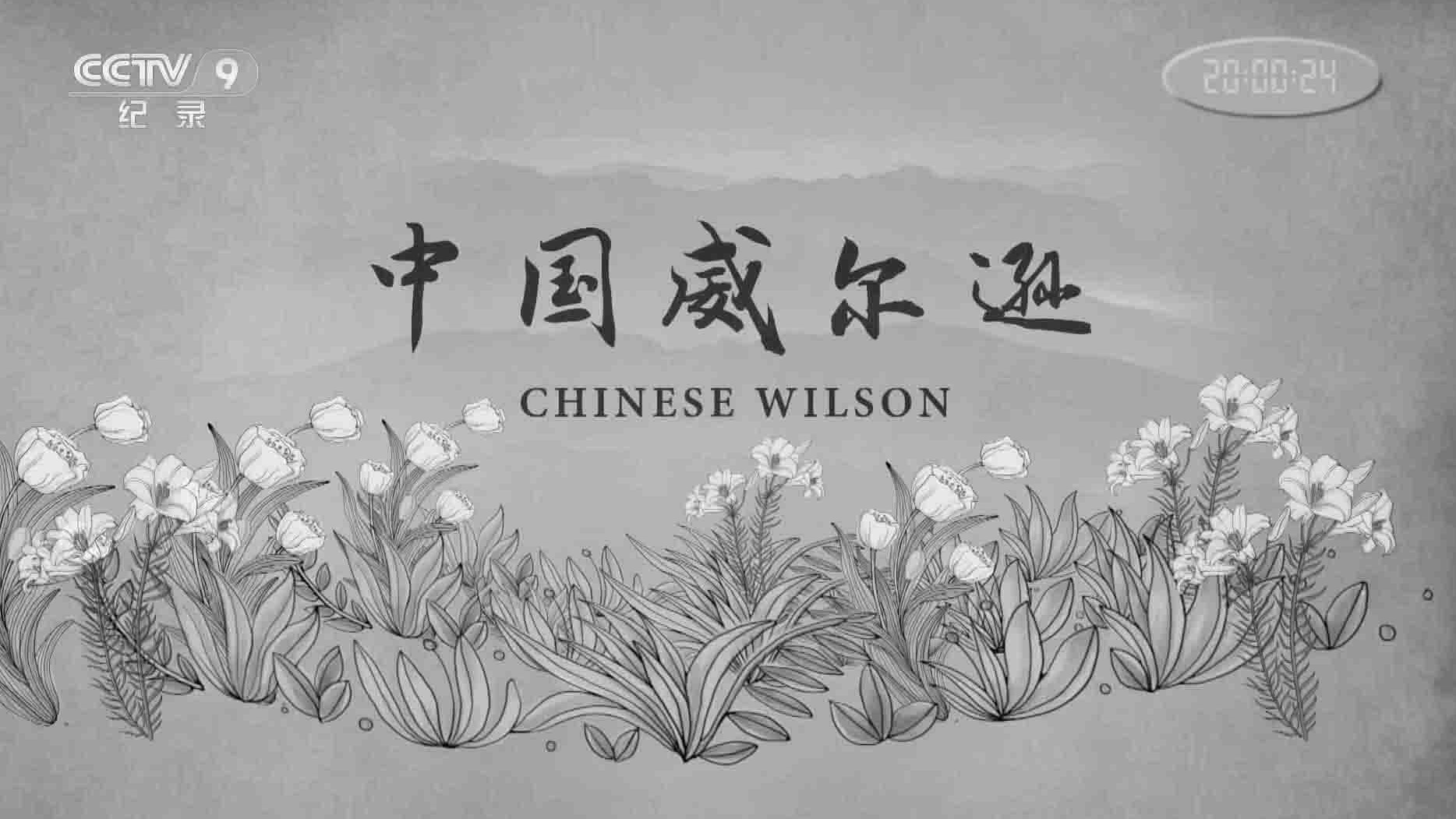 央视纪录片《中国威尔逊 Chinese Wilson》全3集 国语中字 1080i高清网盘下载
