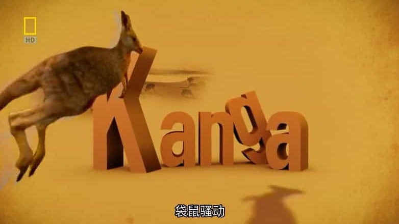 国家地理《袋鼠骚动 Kangaroo Kaos》全1集 英语中字 标清网盘下载
