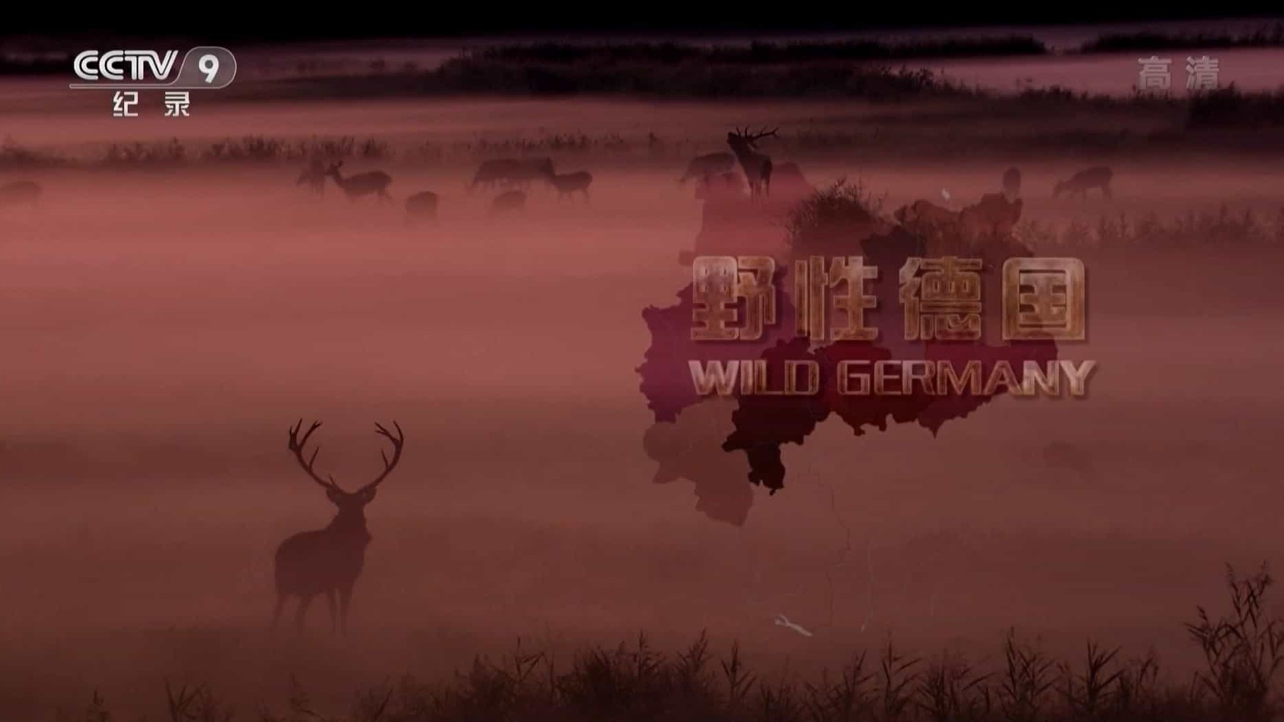 国家地理纪录片《狂野德国/野性德国 Wildes Deutschland》全4集 国语中字 1080P高清网盘下载