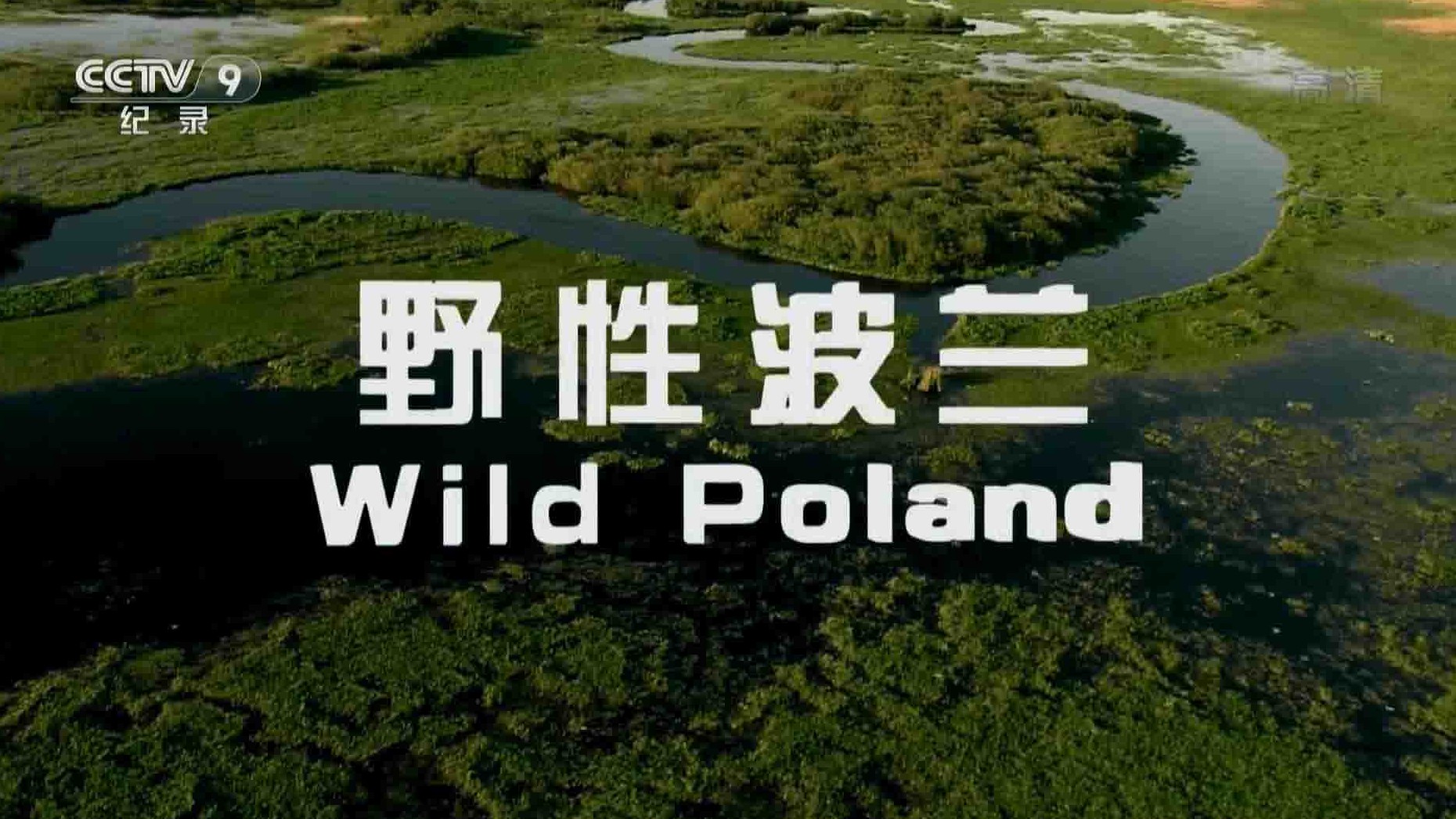 韩国SBS纪录片《野性波兰 Wild Poland 2012》全1集 国语中字 1080P高清网盘下载