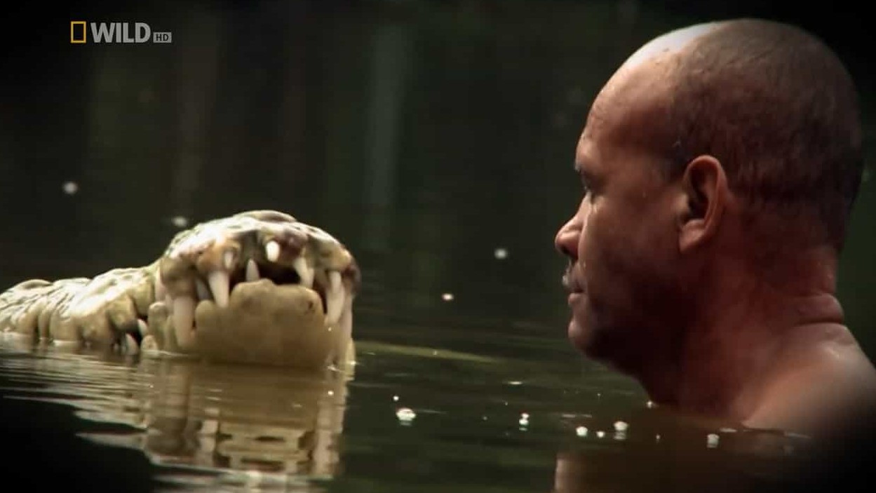 国家地理《人鳄情缘 The Man Who Swims With Crocodiles 2013》全1集 英语中字 720P高清网盘下载