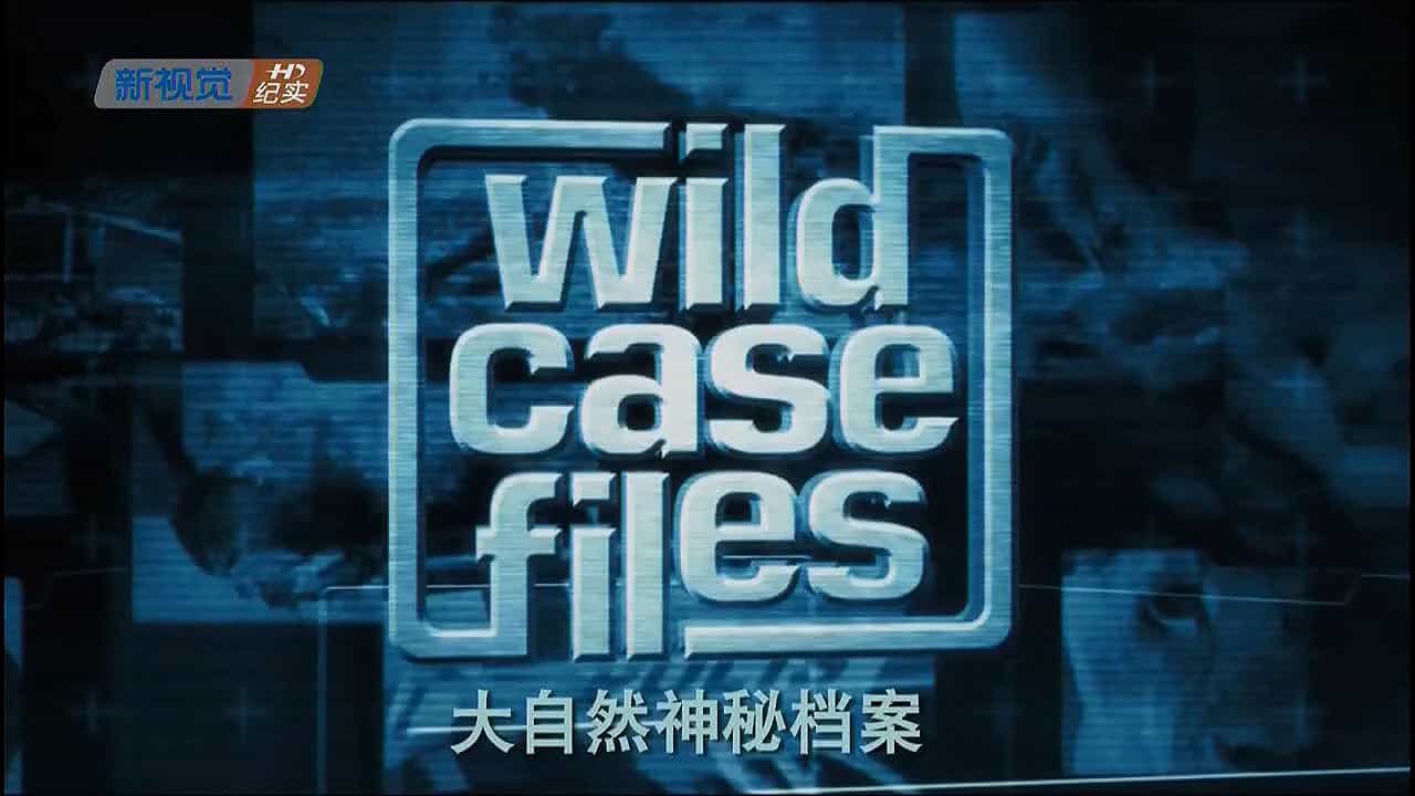国家地理《大自然神秘档案 鸟尸启示录 Wild Case Files 2012》全1集 国语中字 720P高清网盘下载