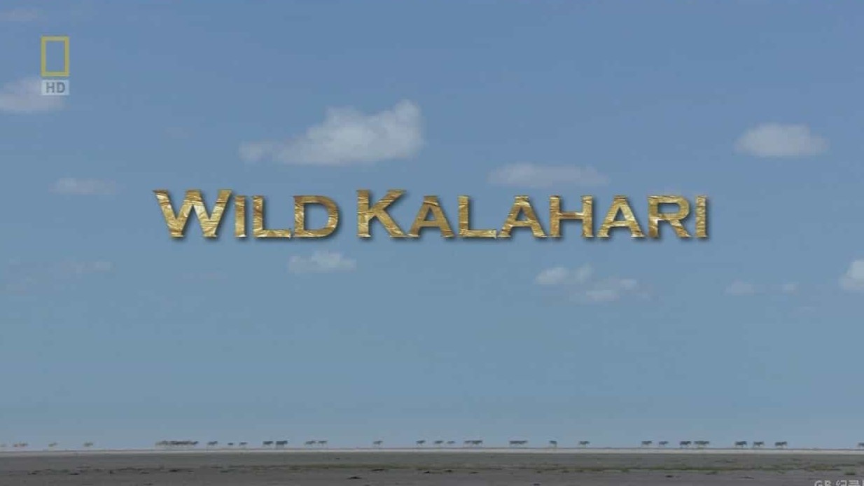 国家地理《野生大地之旅: 喀拉哈里沙漠 Wild Kalahari 2014》全1集 英语中字 720P高清网盘下载