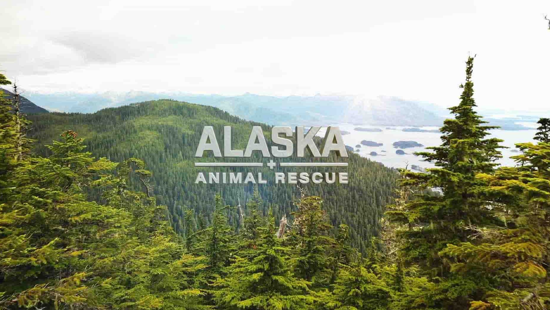 国家地理《阿拉斯加野生动物救援 Alaska Animal Rescue 2020》第1季全6集 英语中字 1080P高清网盘下载