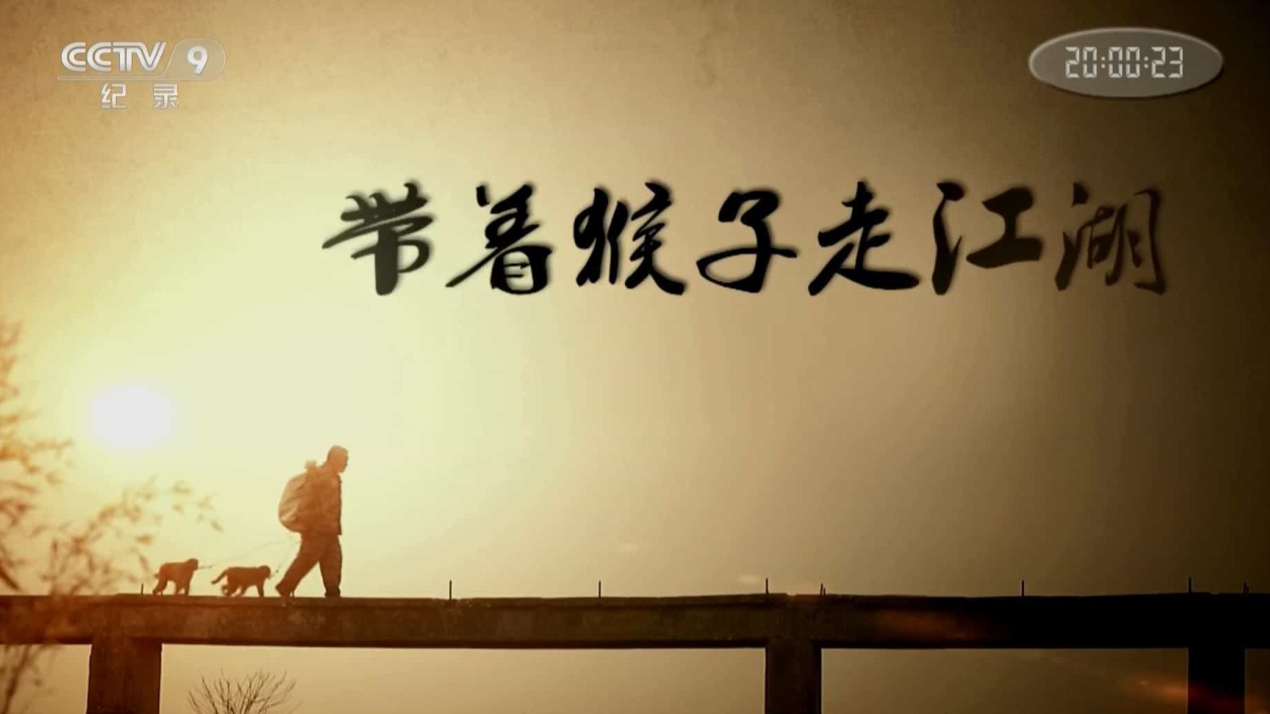 央视特别呈现《带着猴子走江湖》全1集 国语中字 1080P高清网盘下载