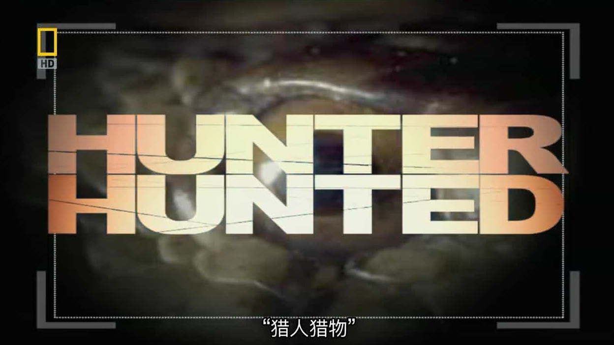 国家地理《猎人猎物 致命三角洲 Hunter Hunted Danger In The Delta》全1集 英语中字 720P高清网盘下载