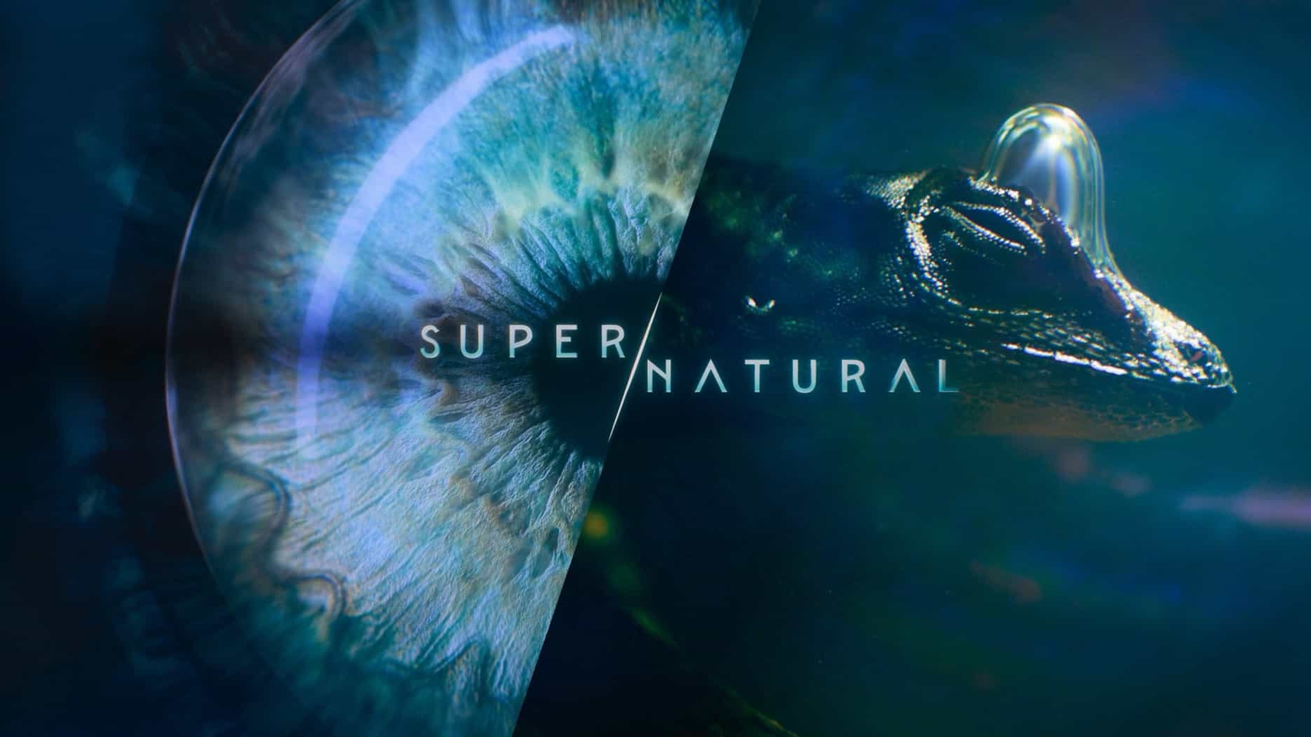 国家地理/迪士尼纪录片《超/自然/超级自然/超凡动物奇观 Super/Natural 2022》全6集 英语中字 4K超高清网盘下载