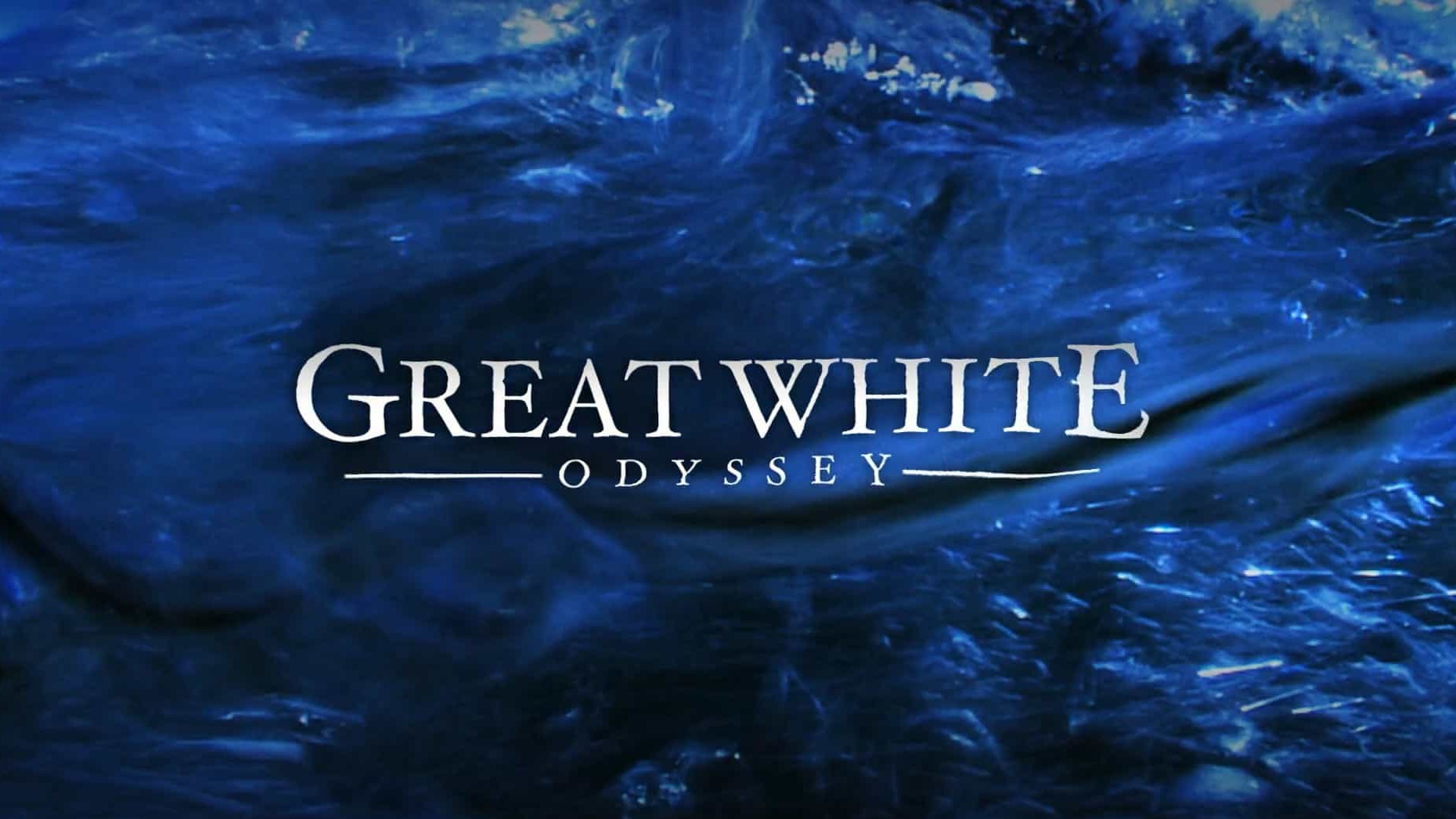 国家地理《大白鲨的史诗般旅程/大白鲨的长途冒险旅程 Great White Odyssey 2008》全1集 英语中字 1080P高清网盘下载 