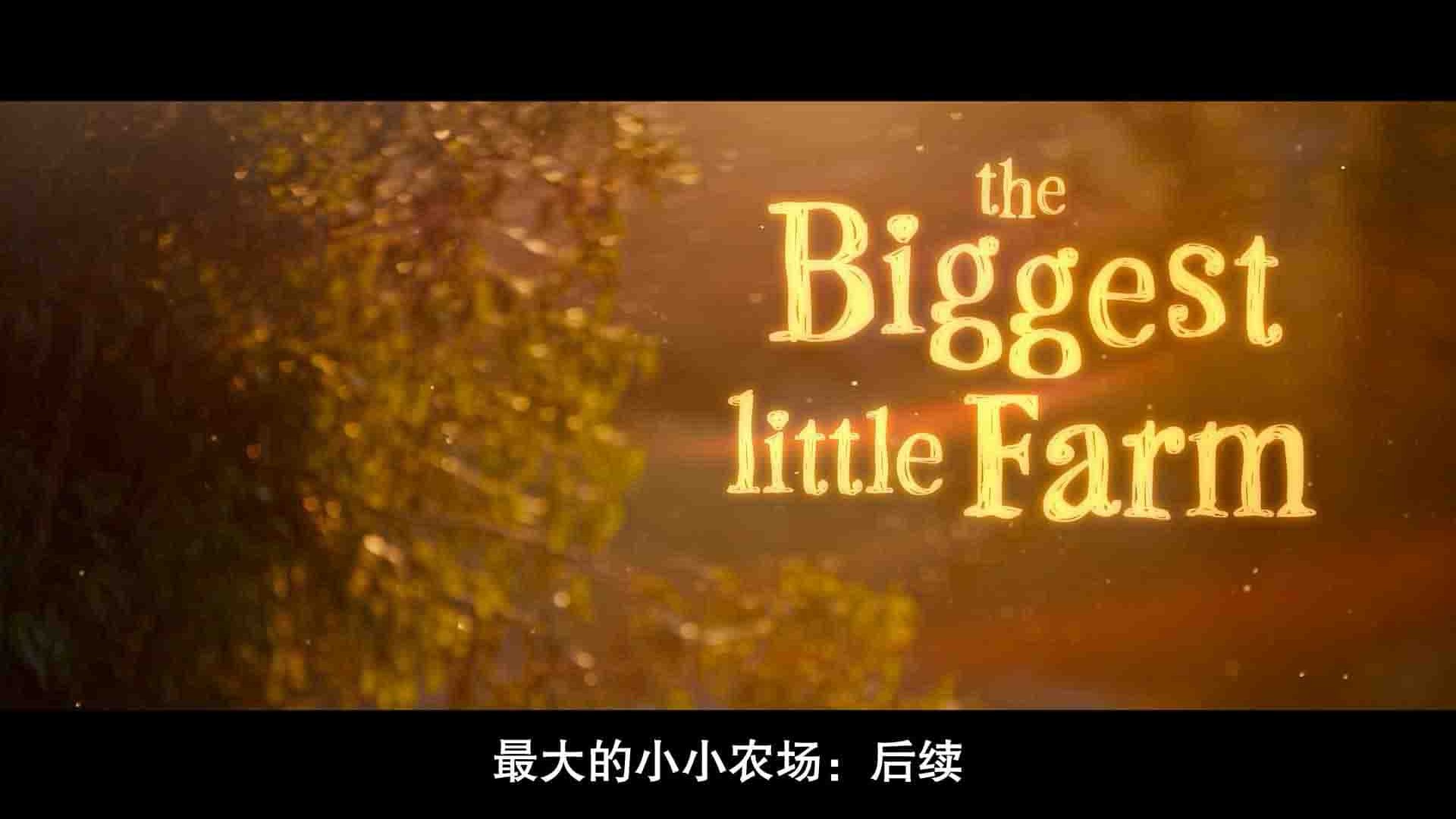 精选系列/国家地理纪录片《最大的小小农场：回归 The Biggest Little Farm: The Return 2022》全1集 英语中字 1080P高清网盘下载