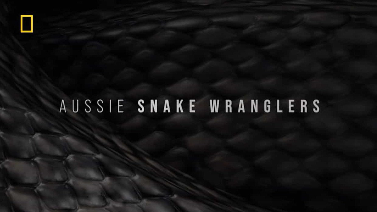 国家地理《澳大利亚捕蛇人 Aussie Snake Wranglers 2022》第1-2季全28集 英语无字 1080P高清网盘下载