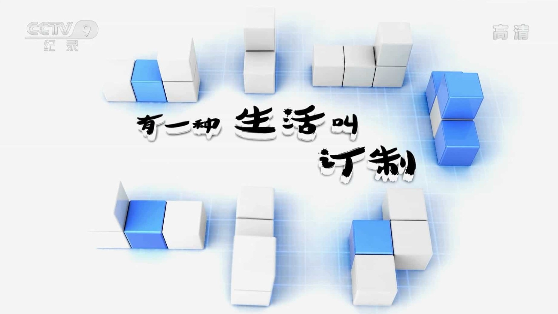央视纪录片《有一种生活叫订制 2017》全5集 国语中字 1080P高清网盘下载