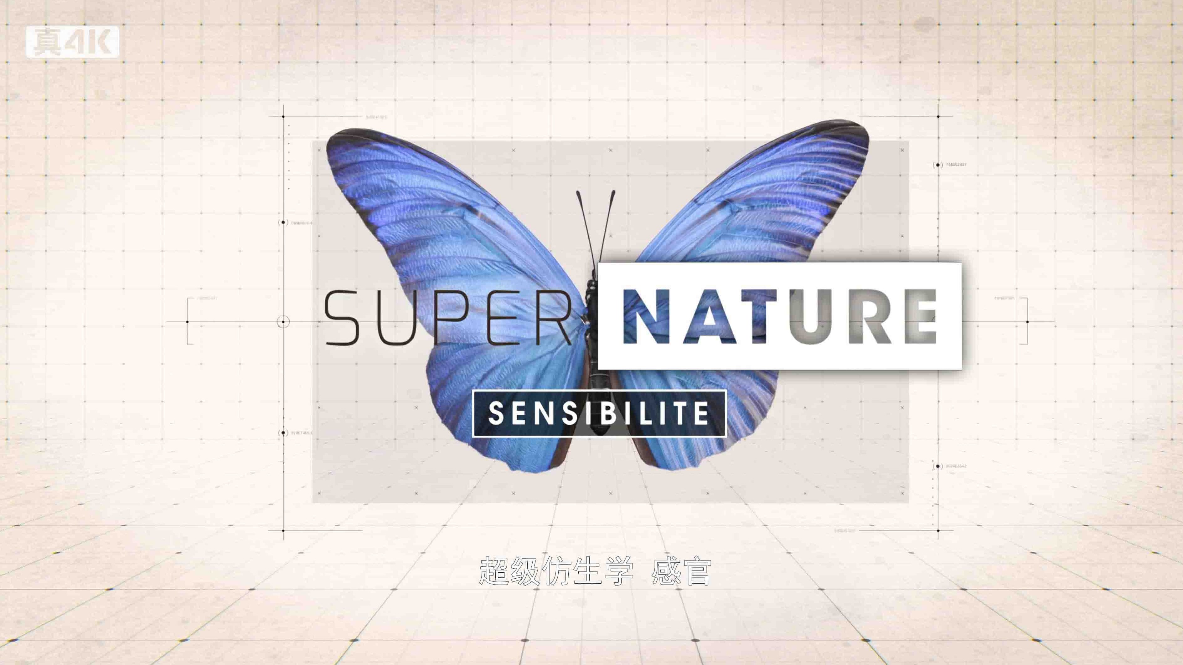 精选纪录片/法国纪录片《超级仿生/超级自然/仿生学探奇 Supernature》全5集 法语中字 4K超高清网盘下载