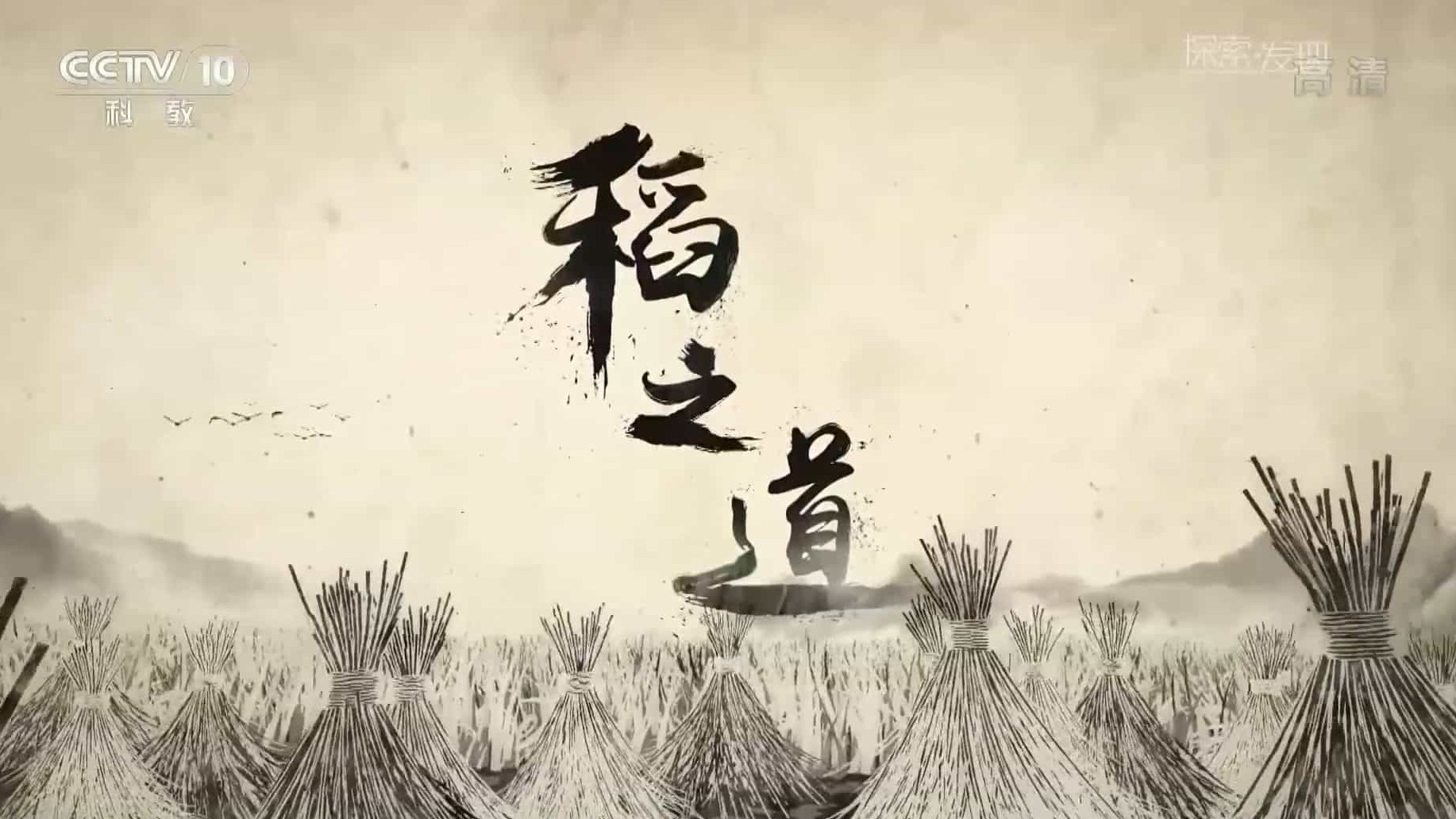 央视探索·发现《稻之道 The Story of Rice》全6集 国语中字 1080i高清网盘下载