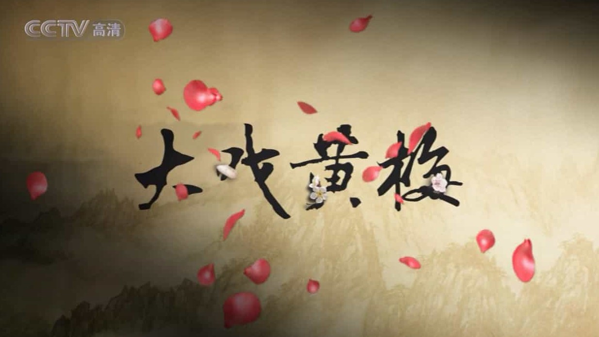 央视纪录片《大戏黄梅 The History of Huangmei Opera 2009》全10集 国语中字 720P高清网盘下载