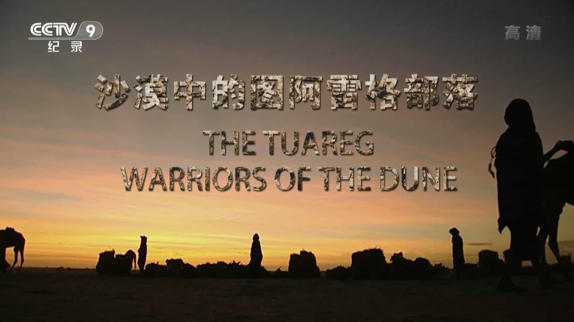 西班牙纪录片《沙漠中的图阿雷格部落 Tuaregs: The Warriors of the Dunes 2013》全1集 国语中字 1080P高清网盘下载