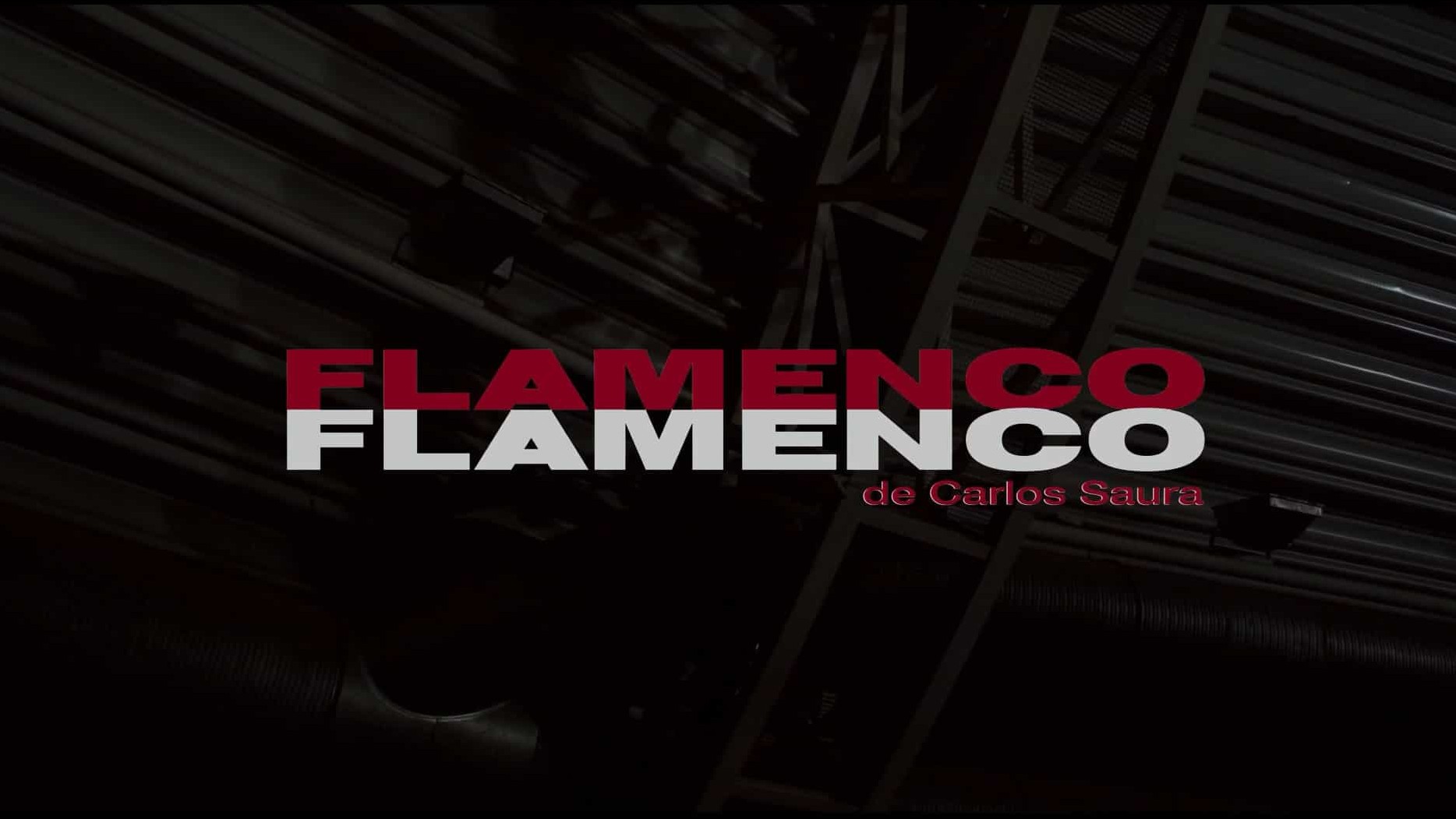西班牙纪录片《弗拉门戈，弗拉门戈 Flamenco, Flamenco 2010》全1集 西语中字 1080P高清网盘下载