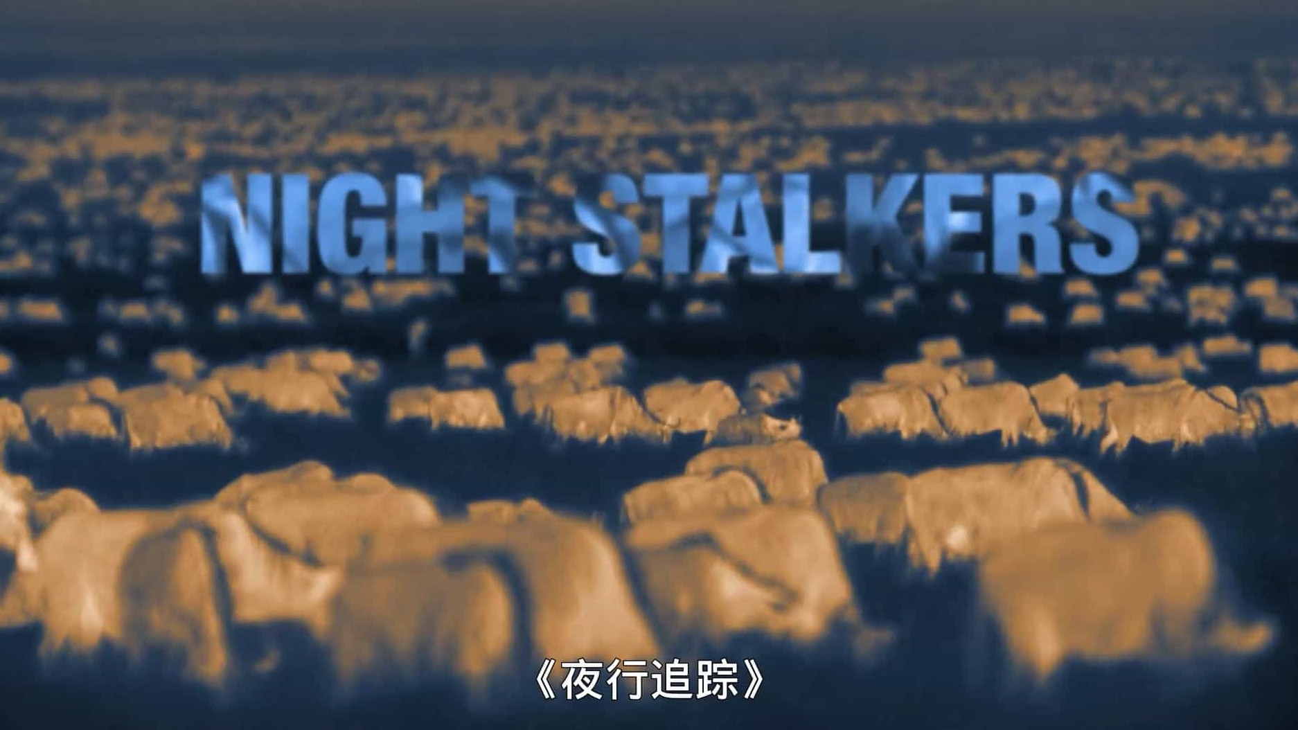 国家地理《夜行追踪 Night Stalkers 2011》全4集 英语中字 1080P高清网盘下载