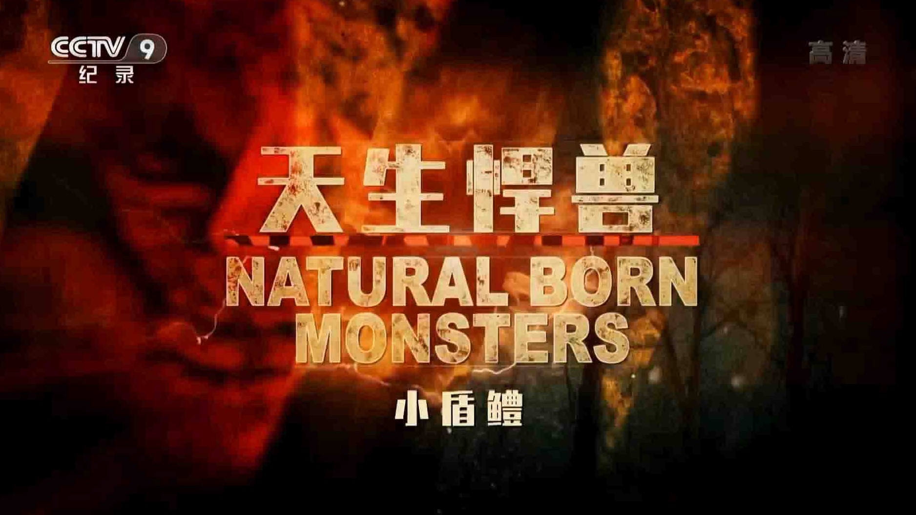 国家地理《天生悍兽 Natural Born Monsters》全8集 国语中字 1080P高清网盘下载
