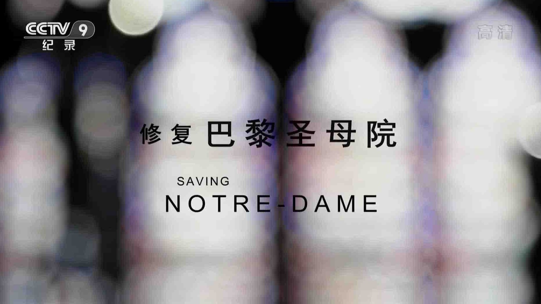 央视纪录片《修复巴黎圣母院》全1集 中英语中字 1080P高清网盘下载
