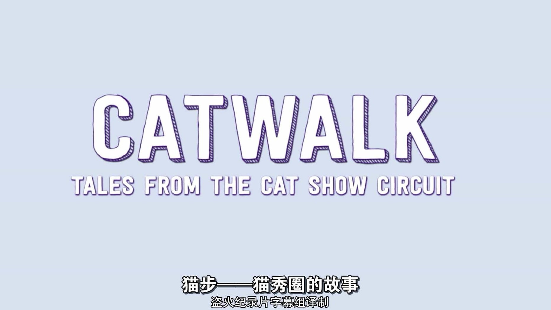 加拿大纪录片《猫步：猫秀圈的故事 Catwalk: Tales from the Cat Show Circuit 2018》全1集 英语中字 1080P高清网盘下载