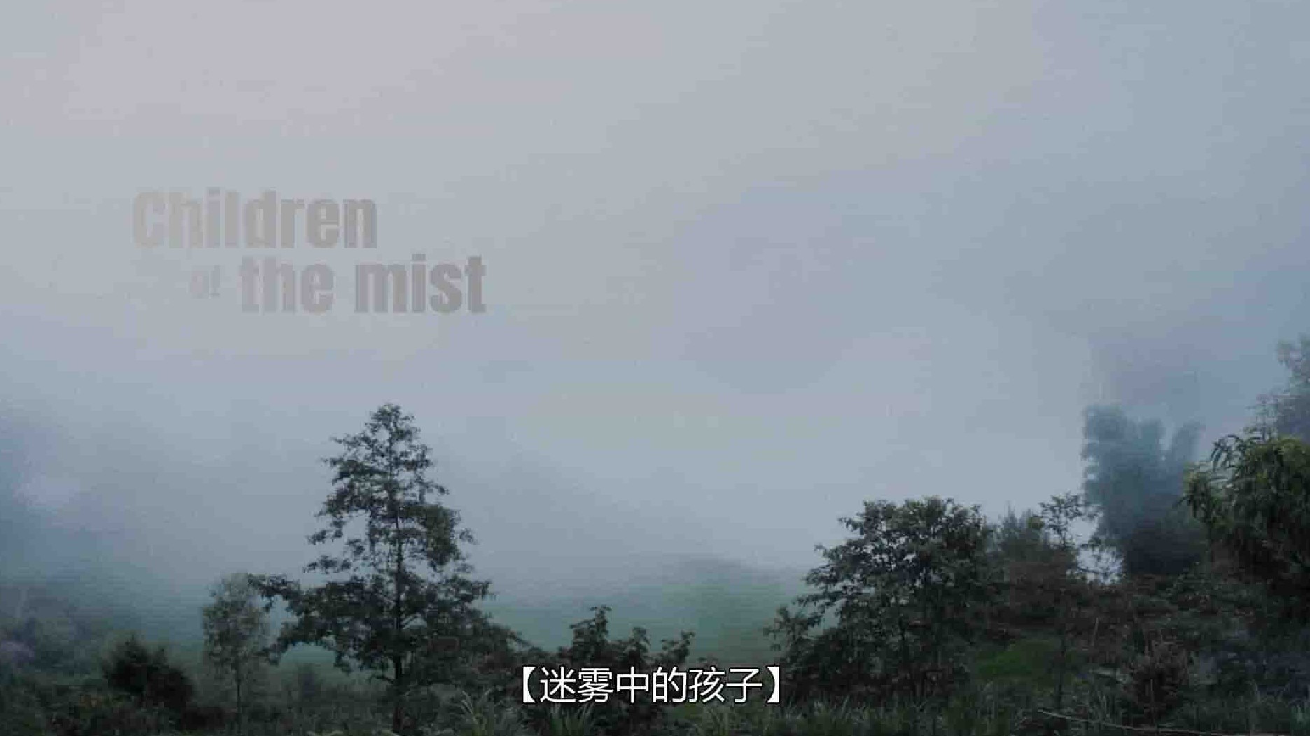 越南纪录片《迷雾中的孩子 Children of the Mist 2021》全1集 越语中字 1080P高清网盘下载