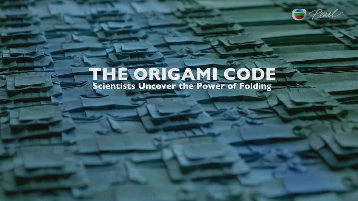 法国纪录片《折纸科学 The Origami Code》全1集 粤语中字 720P高清网盘下载 