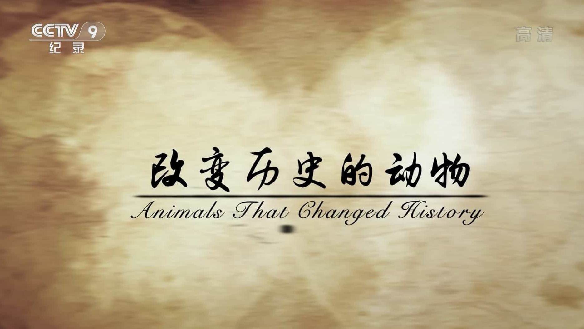 澳大利亚纪录片《改变历史的动物 Animals that Changed History 2016》全6集 国语中字 1080i高清网盘下载