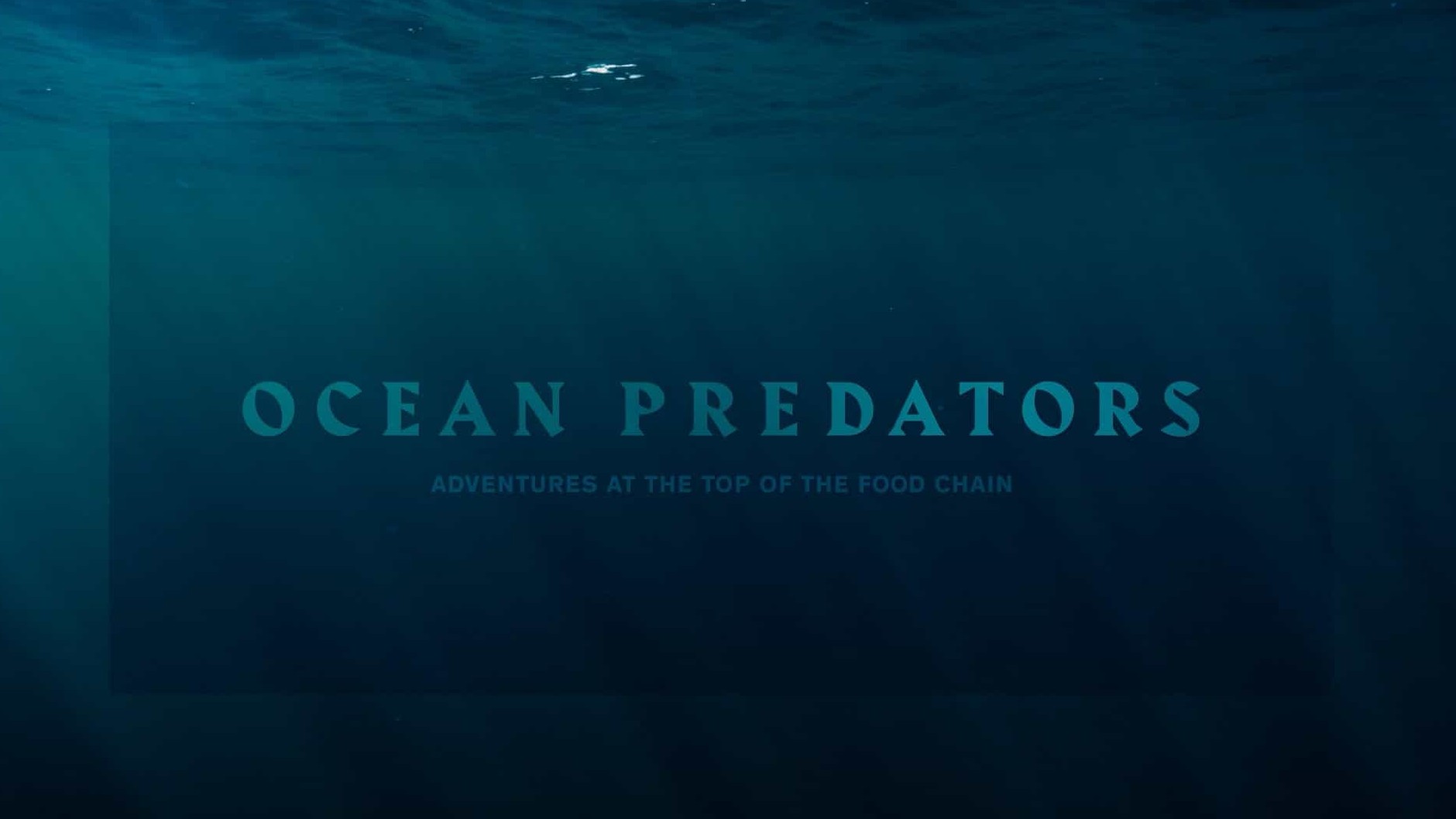 德国纪录片《海洋捕食者/海洋掠食者 Ocean Predators 2013》全4集 英语中字 1080P高清网盘下载