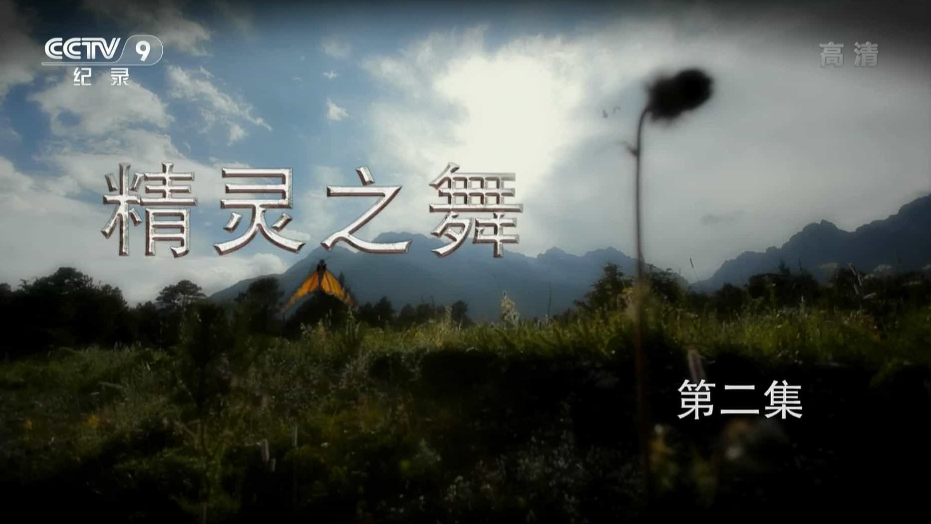 央视纪录片《精灵之舞 2015》全2集 国语中字 1080P高清纪录片 