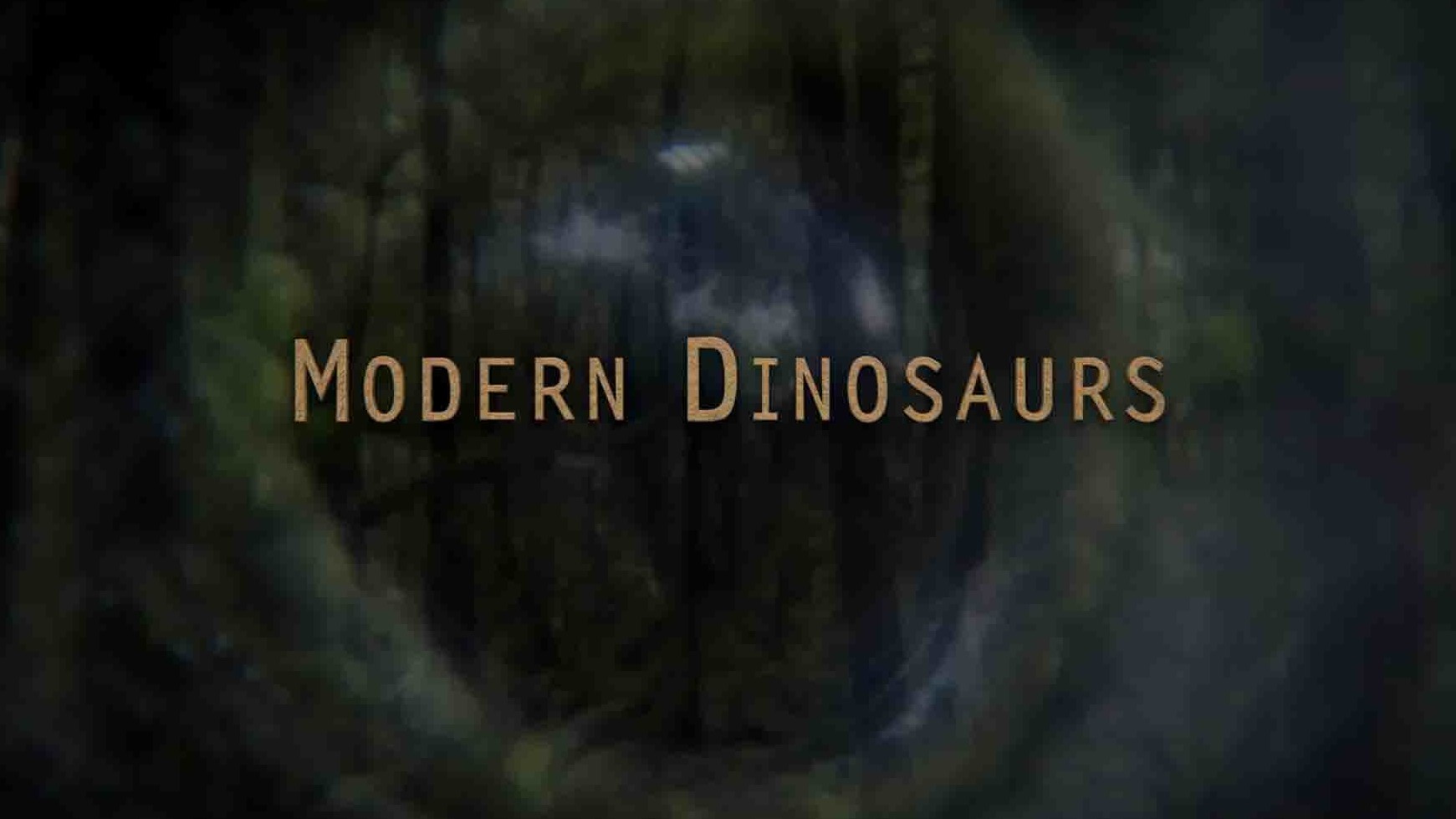 新西兰纪录片《恐龙的后代 Modern Dinosaurs》全6集 英语中英双字 4K超高清网盘下载