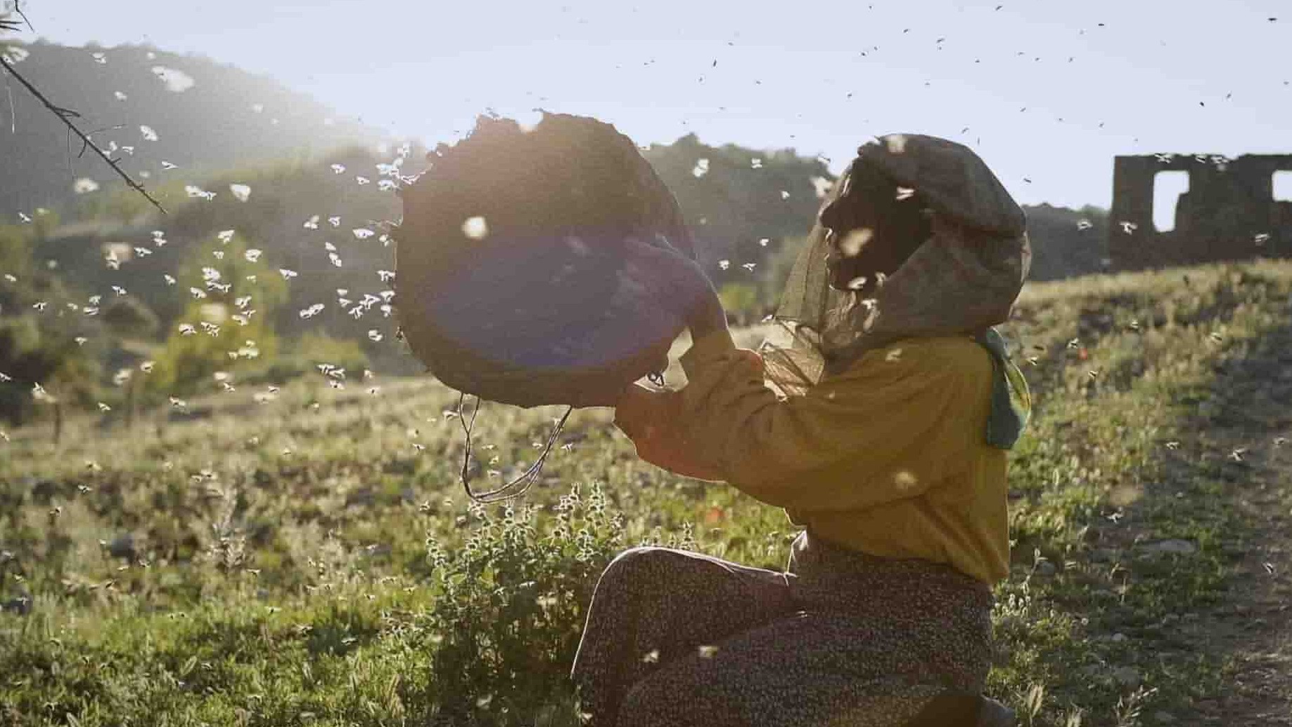 北马其顿纪录片《蜂蜜之地/流蜜大地之诗(港) / 大地蜜语(台) / Honeyland Honeyland 2019》全1集 国土双语中字 1080P高清网盘下载