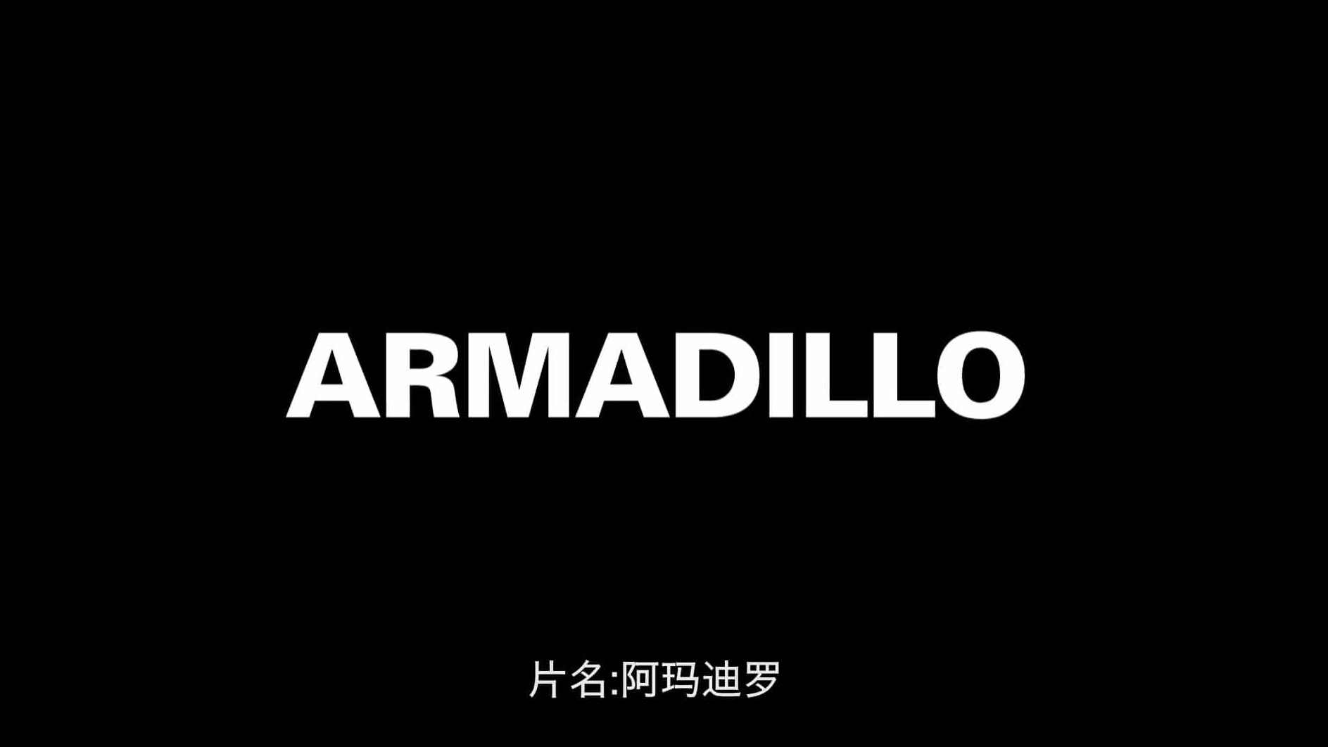 美国纪录片《阿玛迪罗 Armadillo 2010》全1集 英语中字 720P高清网盘下载