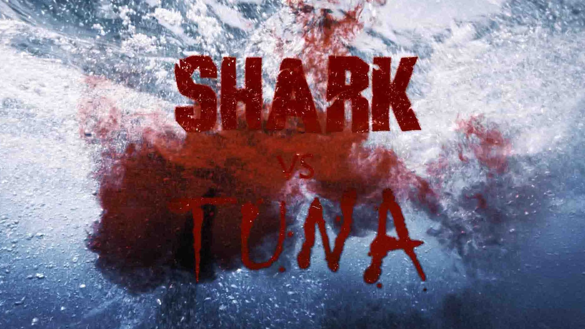 国家地理《鲨鱼与鲔鱼 Shark vs Tuna 2018》全1集 英语中英双字 1080P高清网盘下载