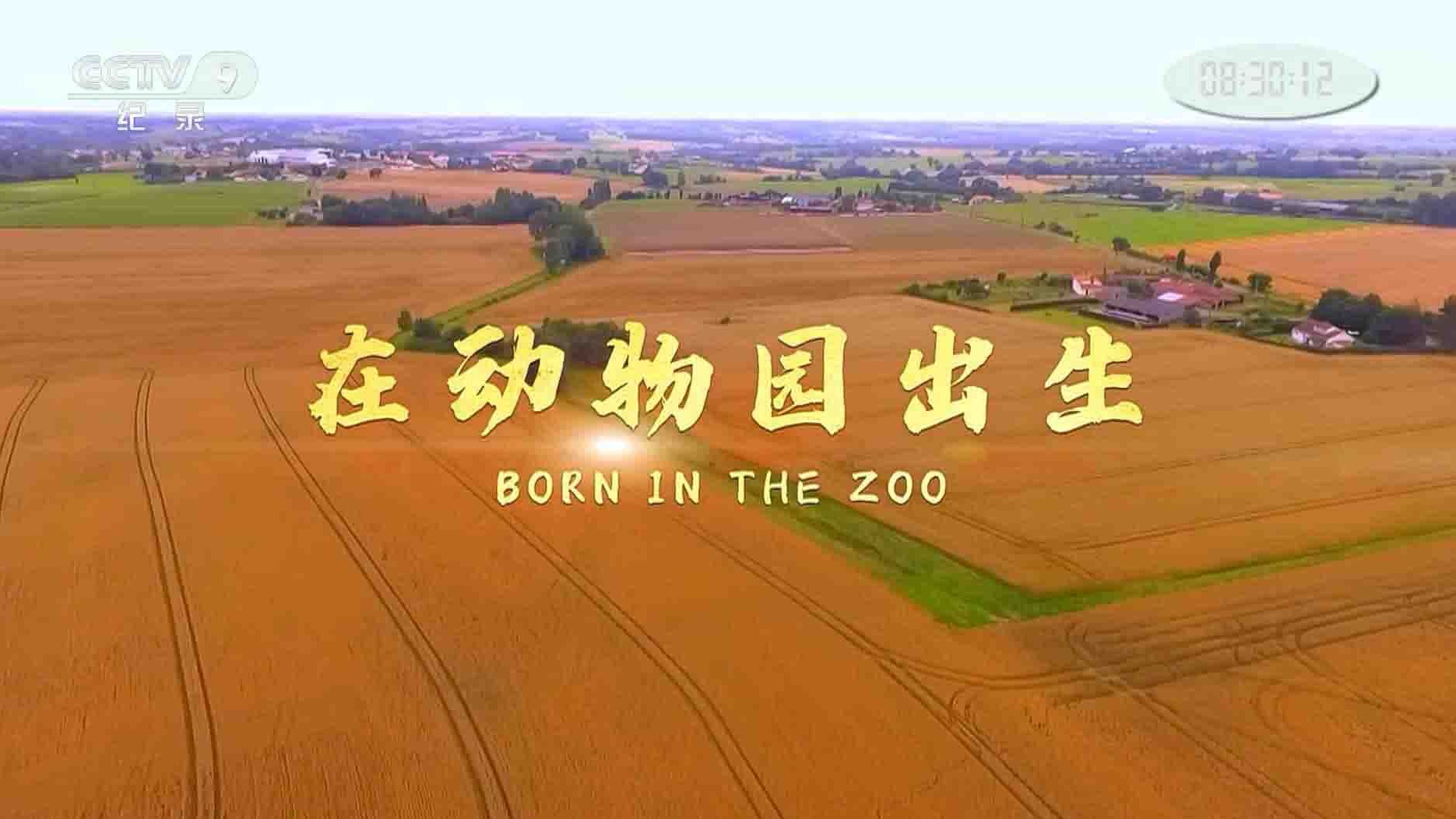 国家地理频道《在动物园出生 Born in the Zoo 2018》全1集 国语中字 1080i高清网盘下载