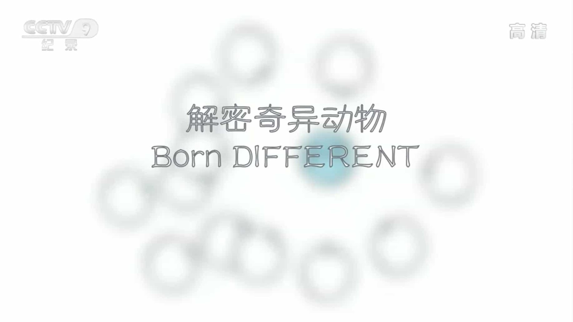 央视纪录片《解密奇异动物 Born Different 2015》全1集 国语中字 1080P高清网盘下载