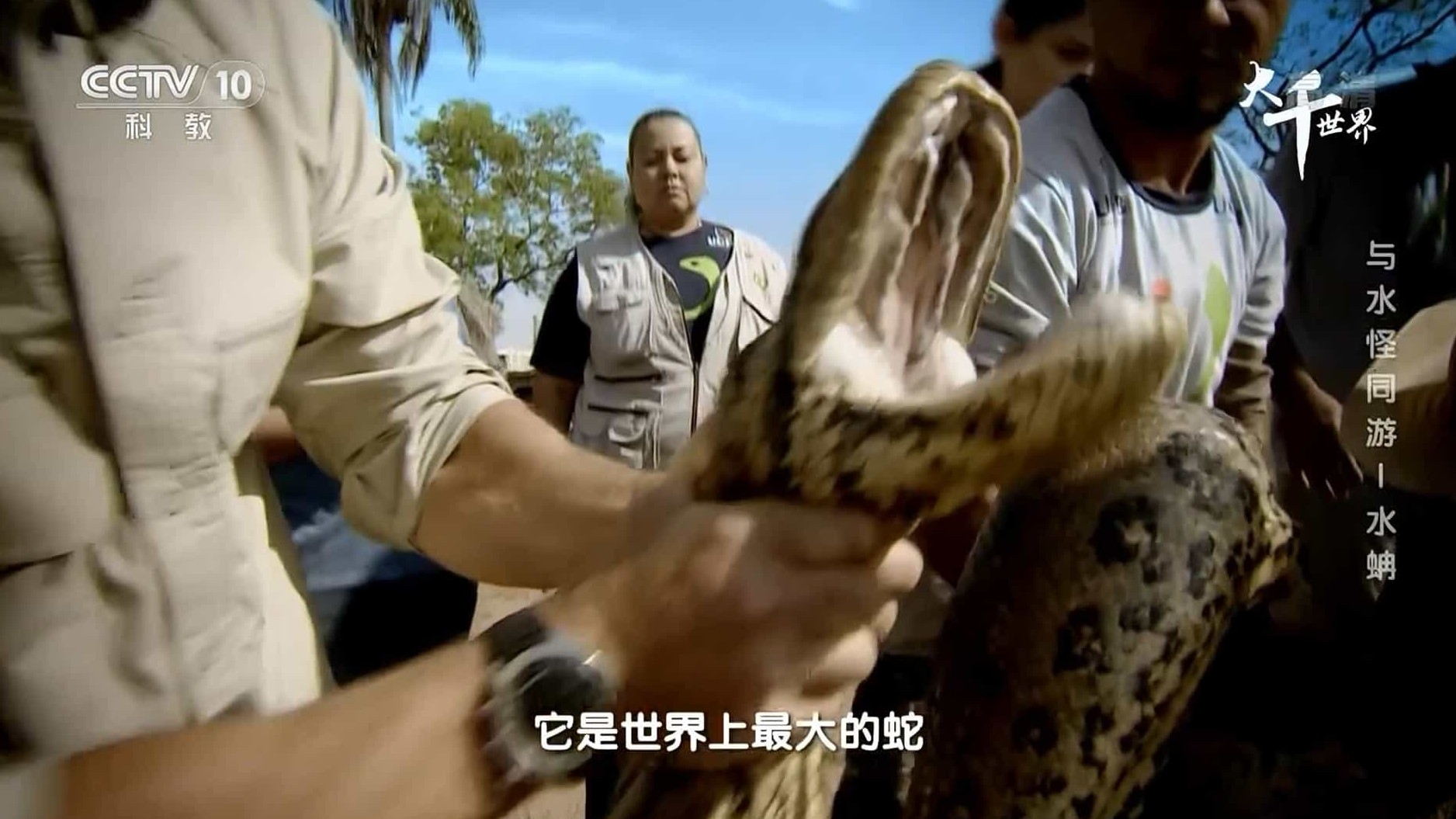 探索频道《与水怪同游 Swimming With Monsters: Steve Backshall 2018》全4集 国语中字 1080i高清网盘下载