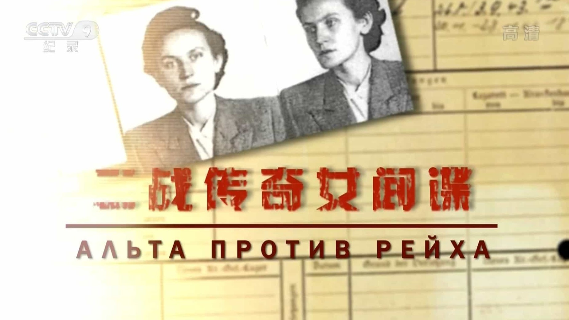 央视人物传记《二战传奇女间谍 2011》全1集 国语中字 1080i高清网盘下载