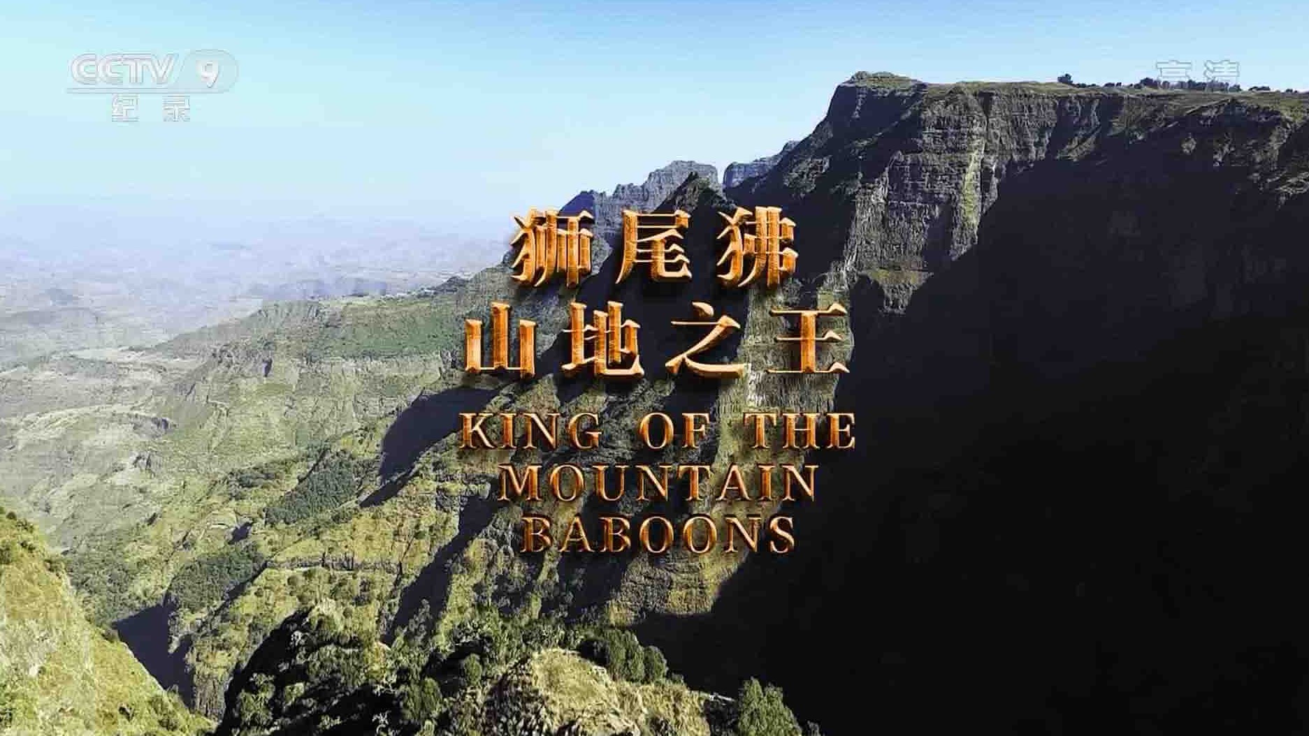 国家地理频道 《狮尾狒-山地之王 King of the Mountain Baboons 2017》全1集 国语中字 1080i高清网盘下载