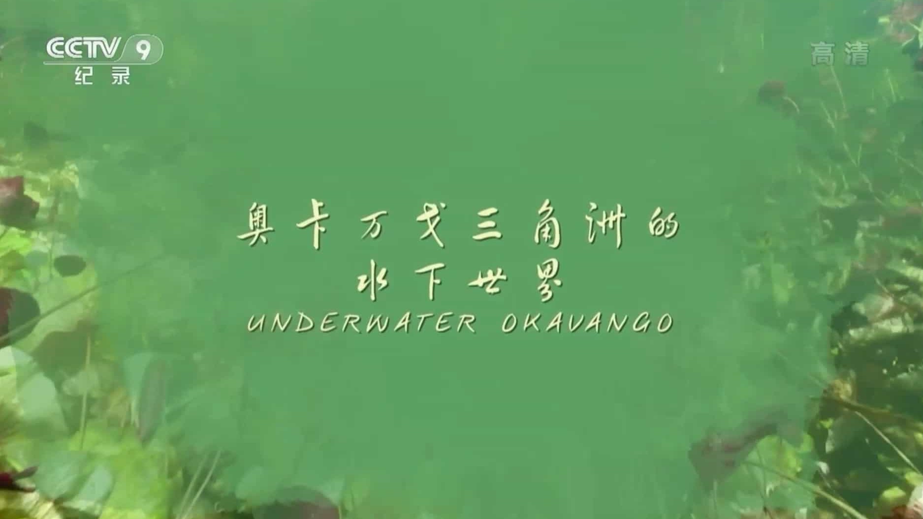 央视纪录片《奥卡万戈三角洲的水下世界 Underwater Okavango 2018》全1集 国语中字 1080P高清网盘下载