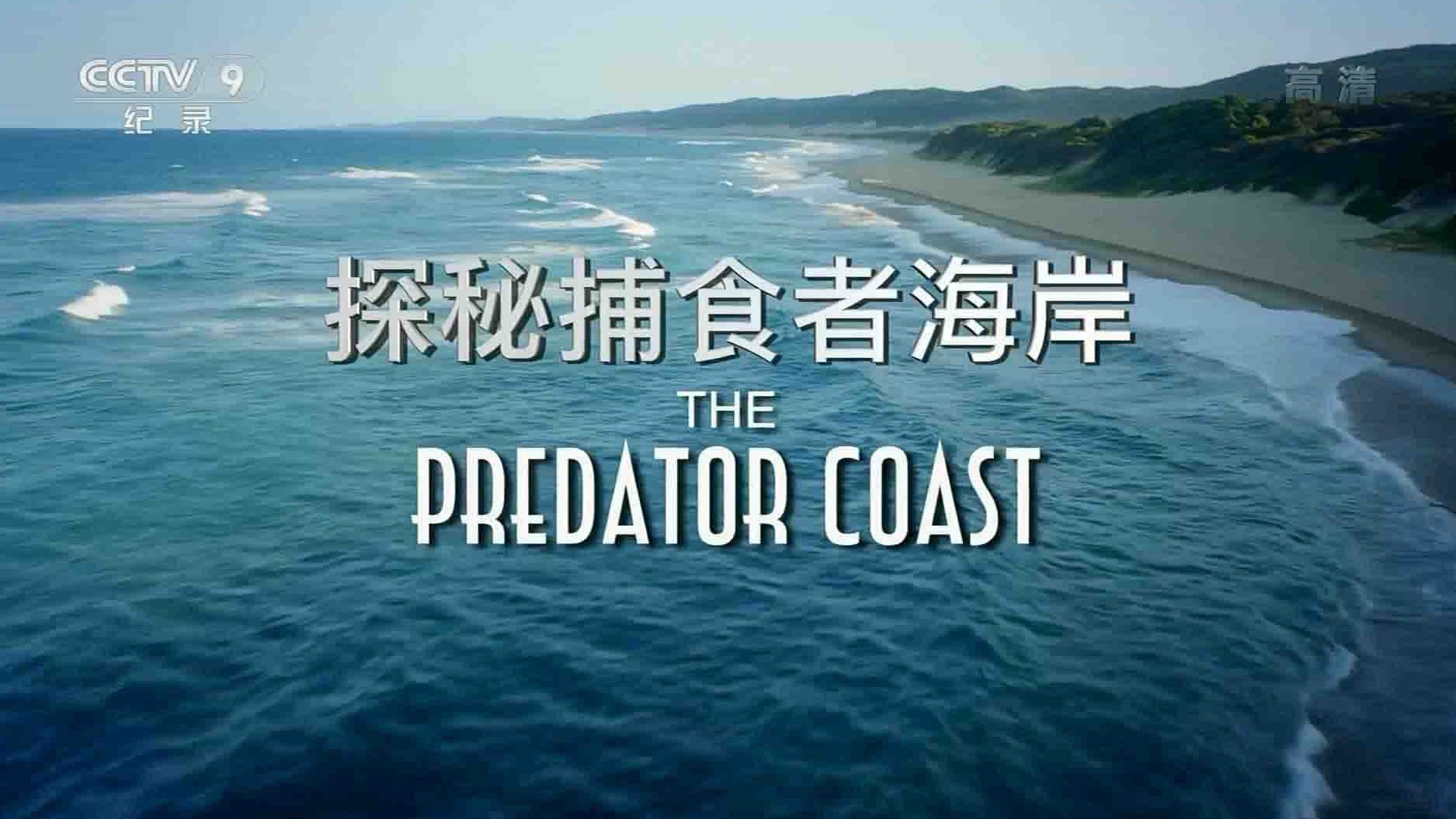 史密森频道《探秘捕食者海岸 The Predator Coast 2013》全1集 国语中字 1080i高清网盘下载