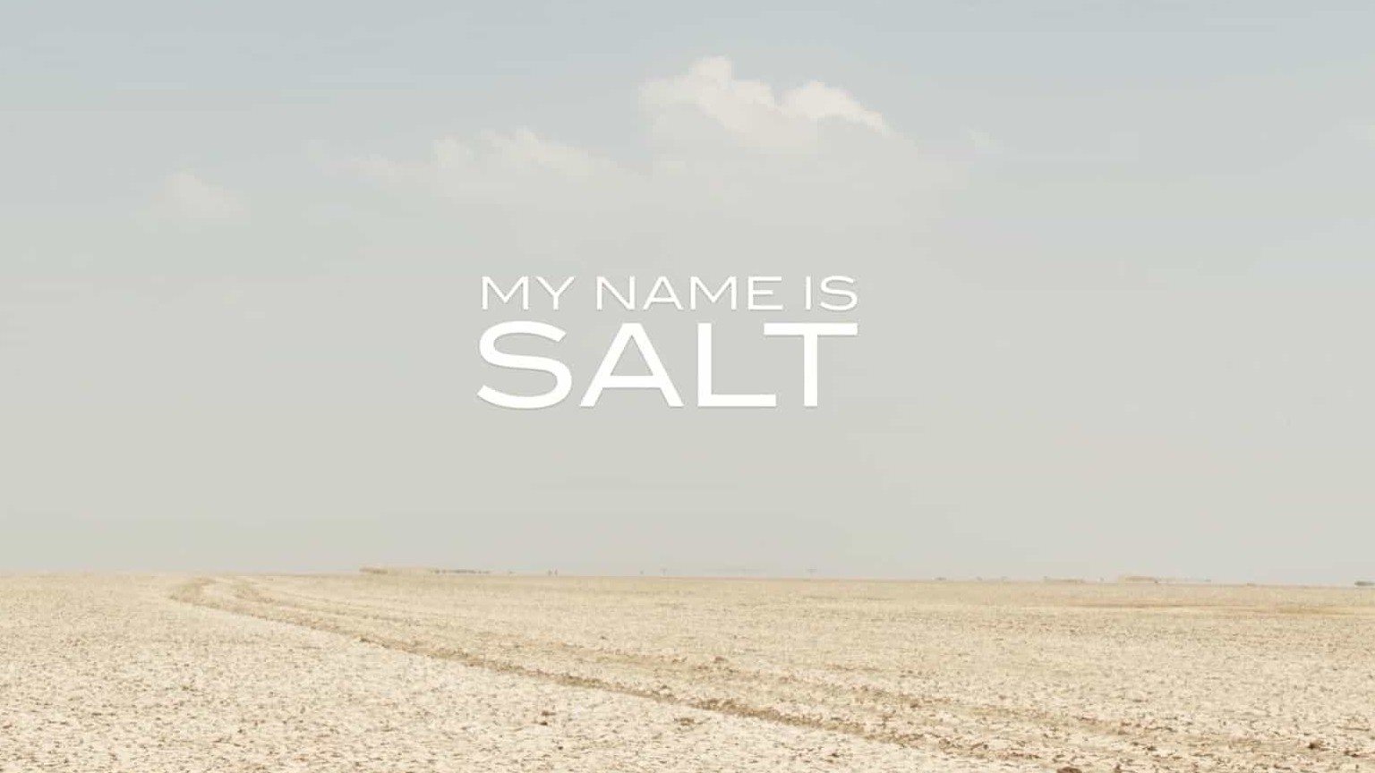 瑞士纪录片《大地之盐 My Name Is Salt 2013》全1集 无对白 1080P高清网盘下载