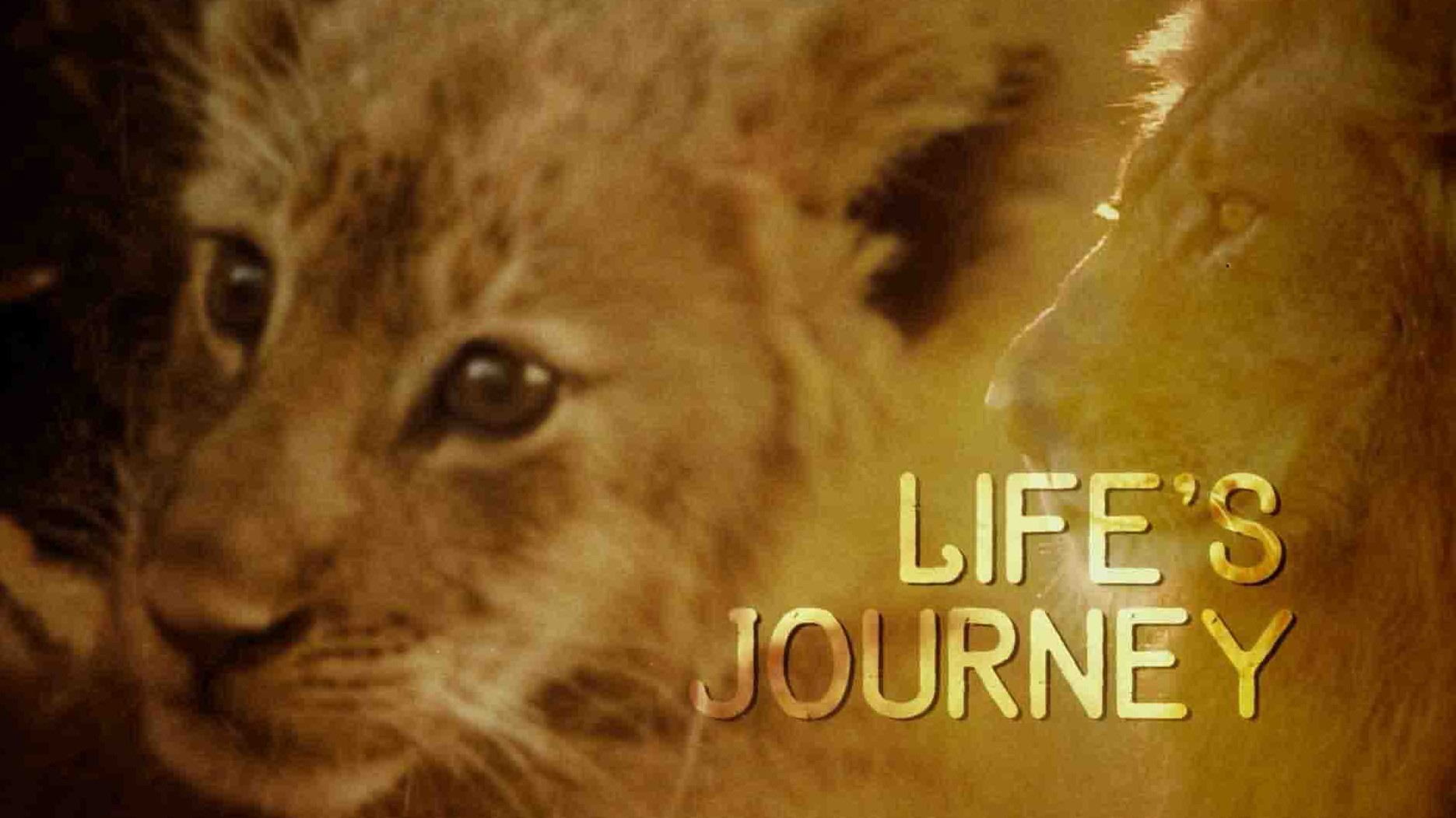 加拿大纪录片《生命历程 Lifes Journey 2017》全3集 英语中英双字 1080P高清网盘下载