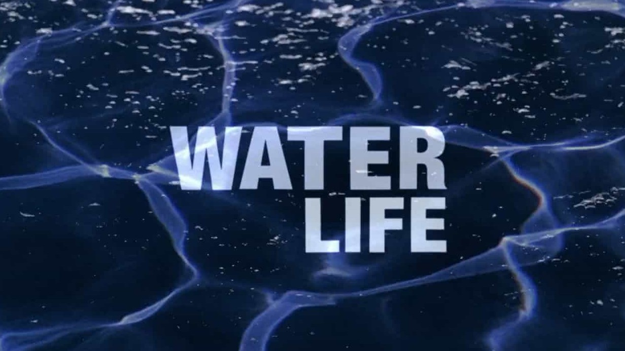 水世界纪录片《生命之水 Water life》全26集 英语中字 720P高清网盘下载 