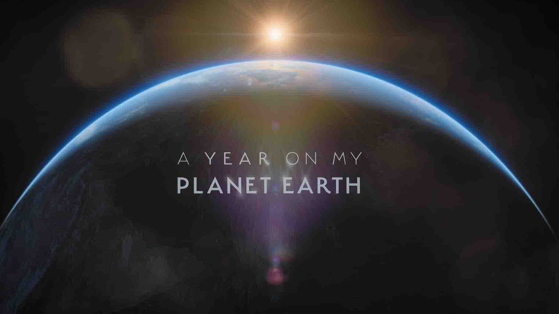 ITV纪录片《地球上的一年 A Year on Planet Earth 2022》第1季全6集 英语中英双字 4k超高清网盘下载