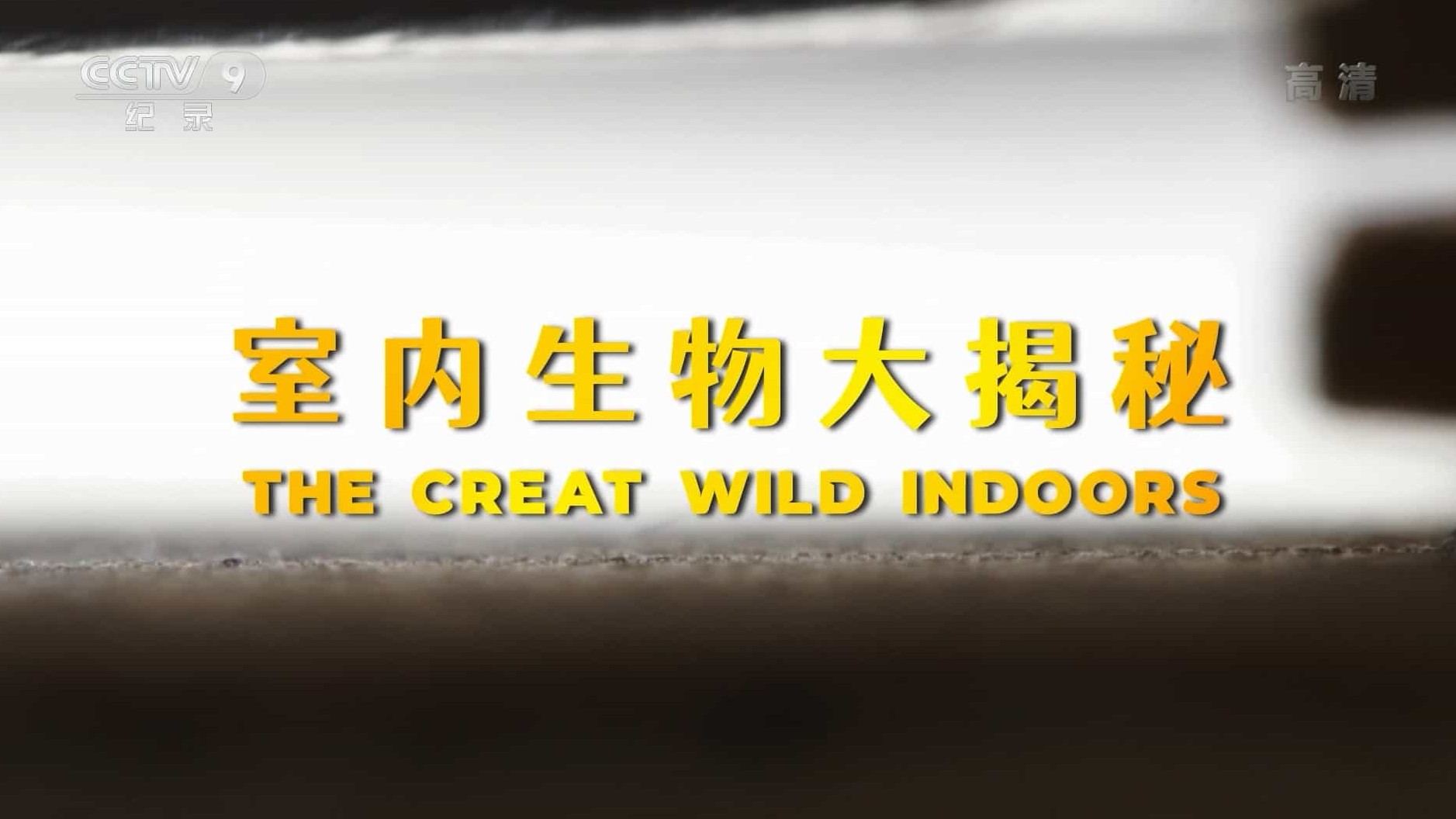 央视纪录片/CBC纪录片《室内生物大揭秘 The Creat Wild Indoors》全1集 国语中字 1080P高清网盘下载