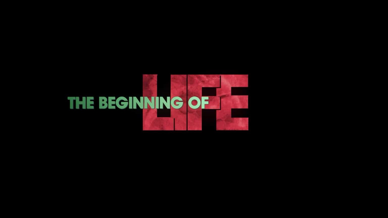 巴西纪录片《人之初 The Beginning of Life》全1集 国语中字 1080P高清网盘下载